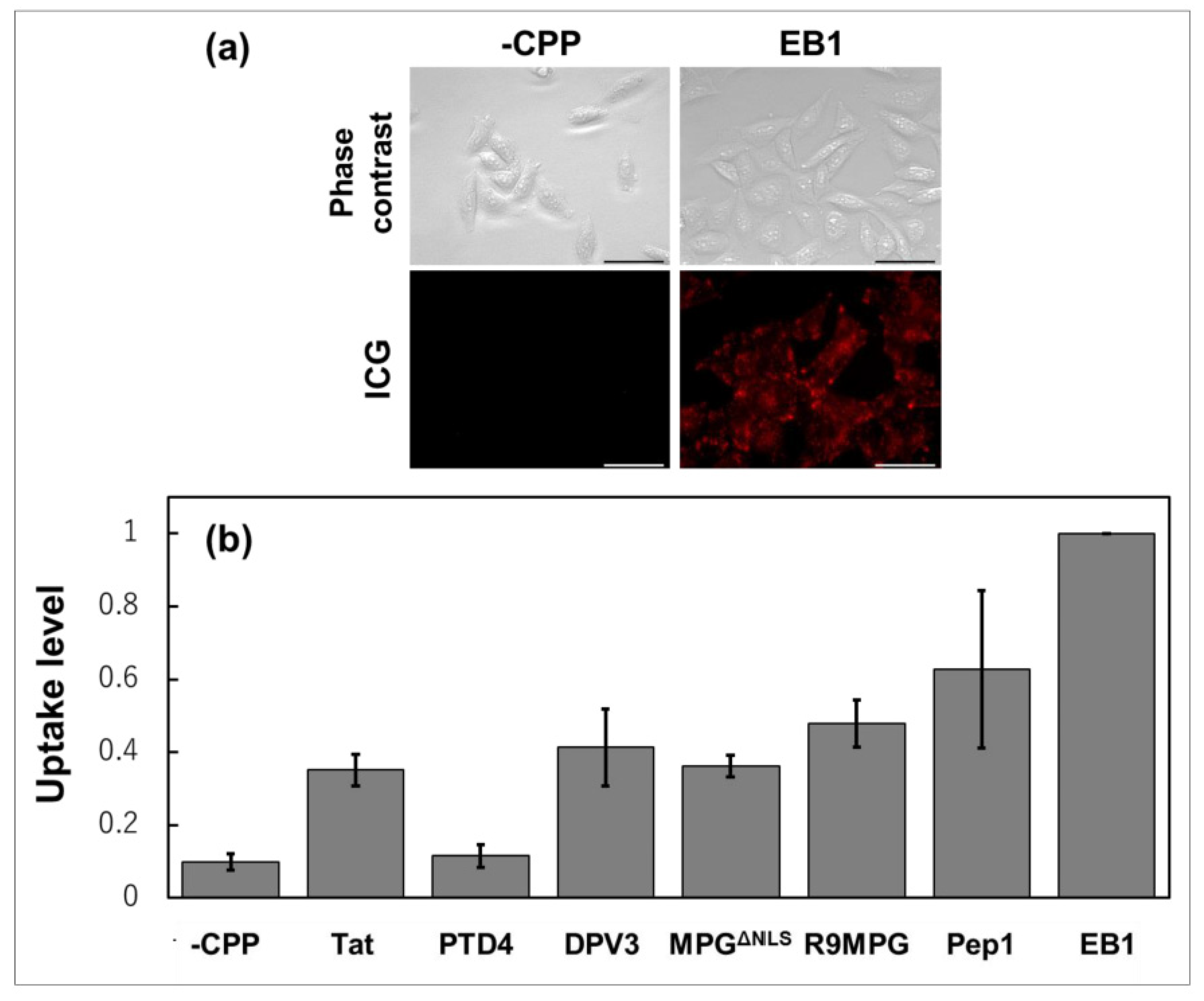 Life 11 00158 g007 Life 11 00158 g007