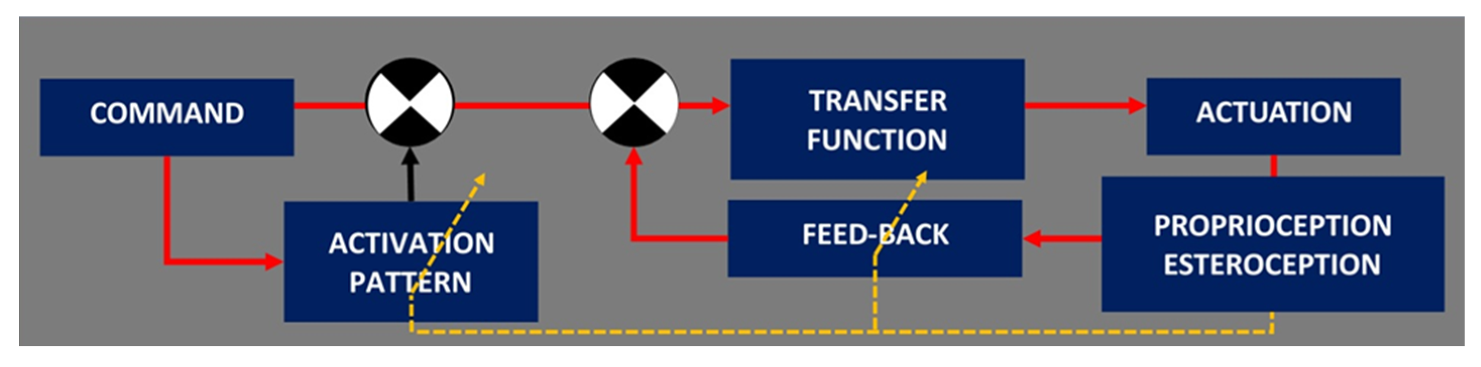 Life 11 00161 g001 Life 11 00161 g001