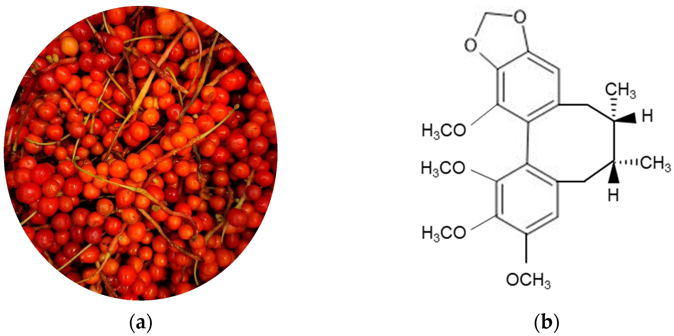 Structure of Schisandrin B Structure of Schisandrin B