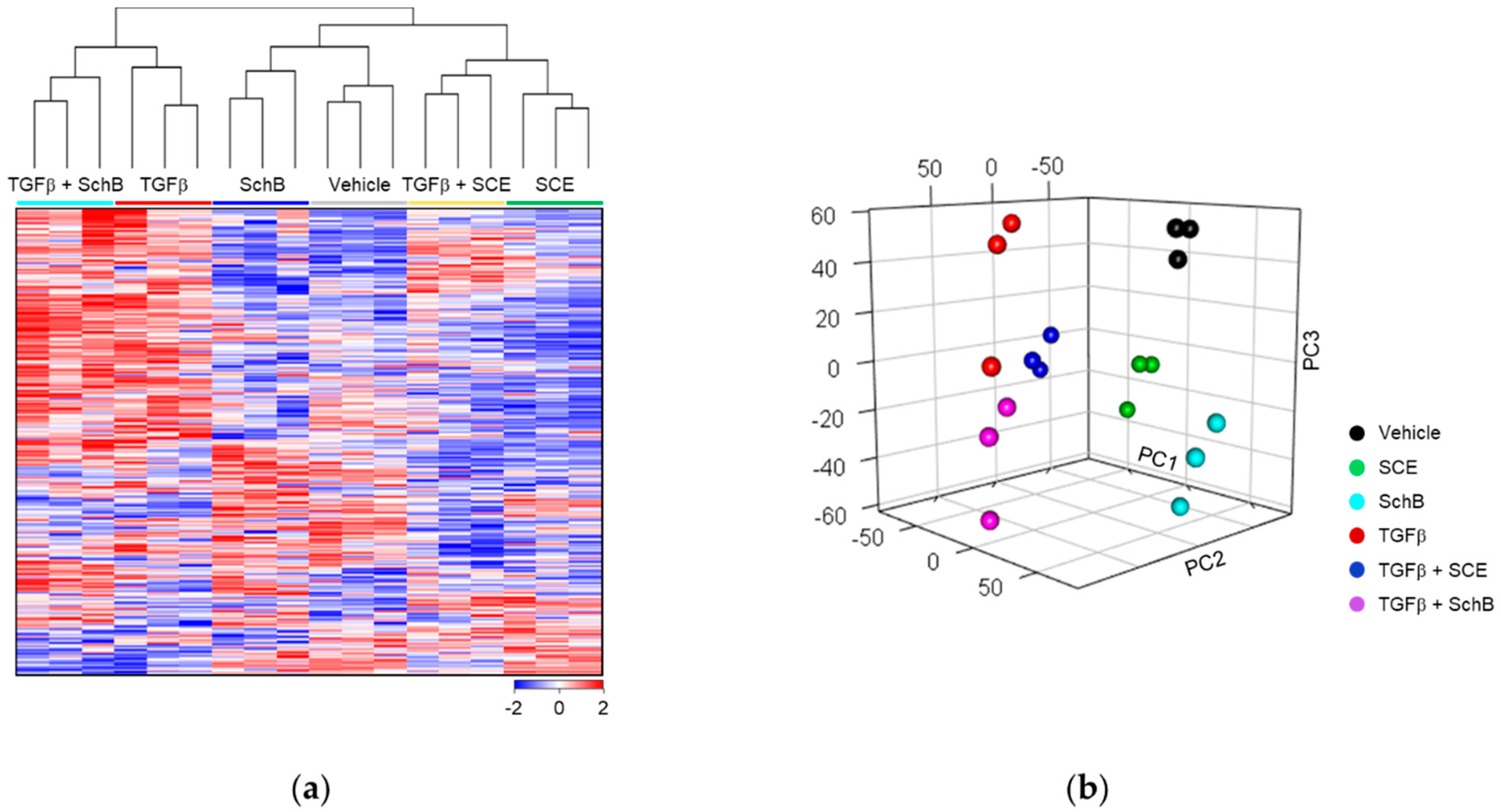Life 11 00163 g002 Life 11 00163 g002