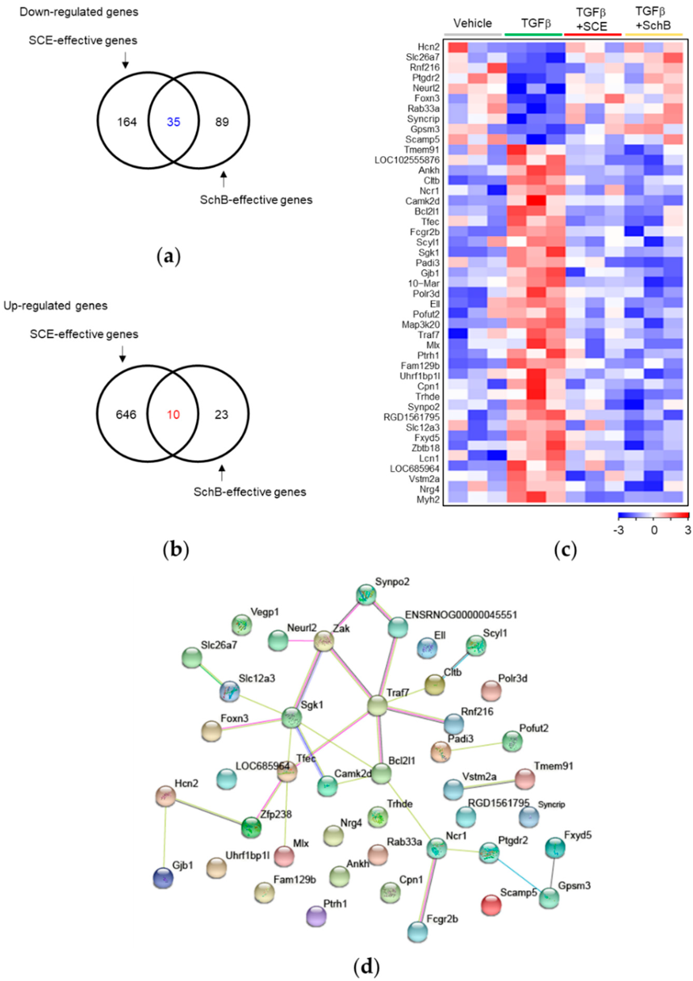 Life 11 00163 g004 Life 11 00163 g004