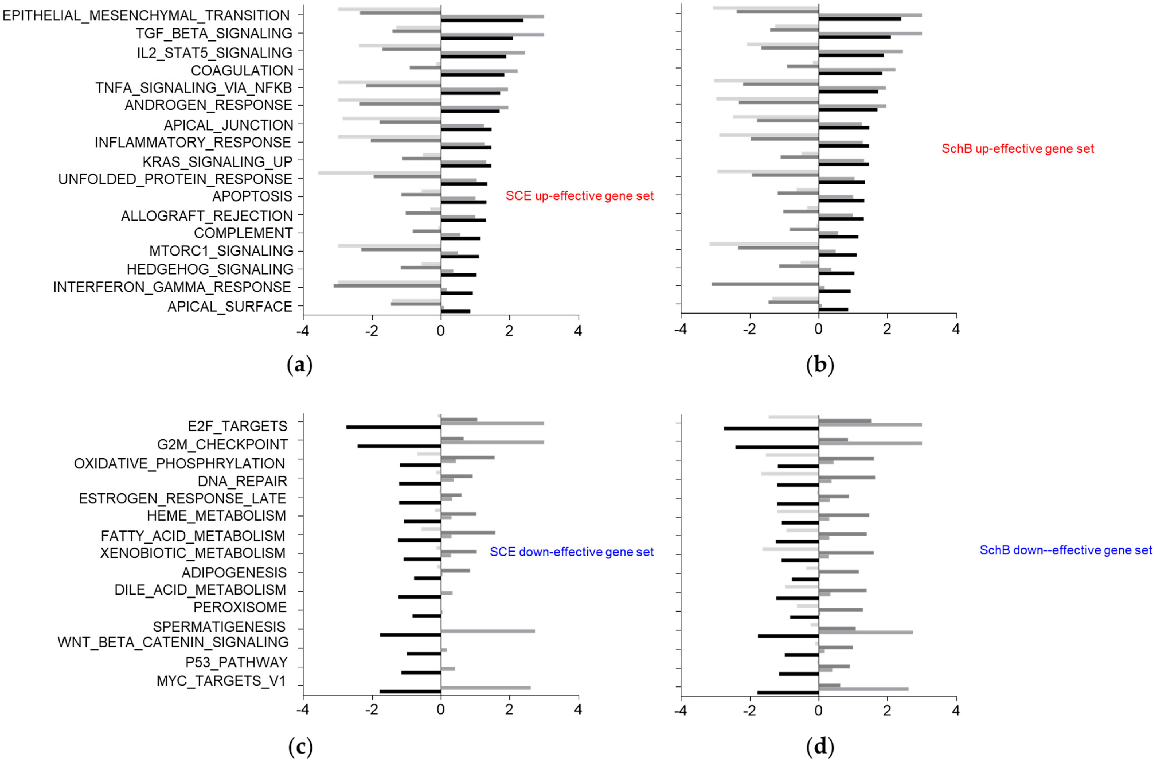 Life 11 00163 g005 Life 11 00163 g005