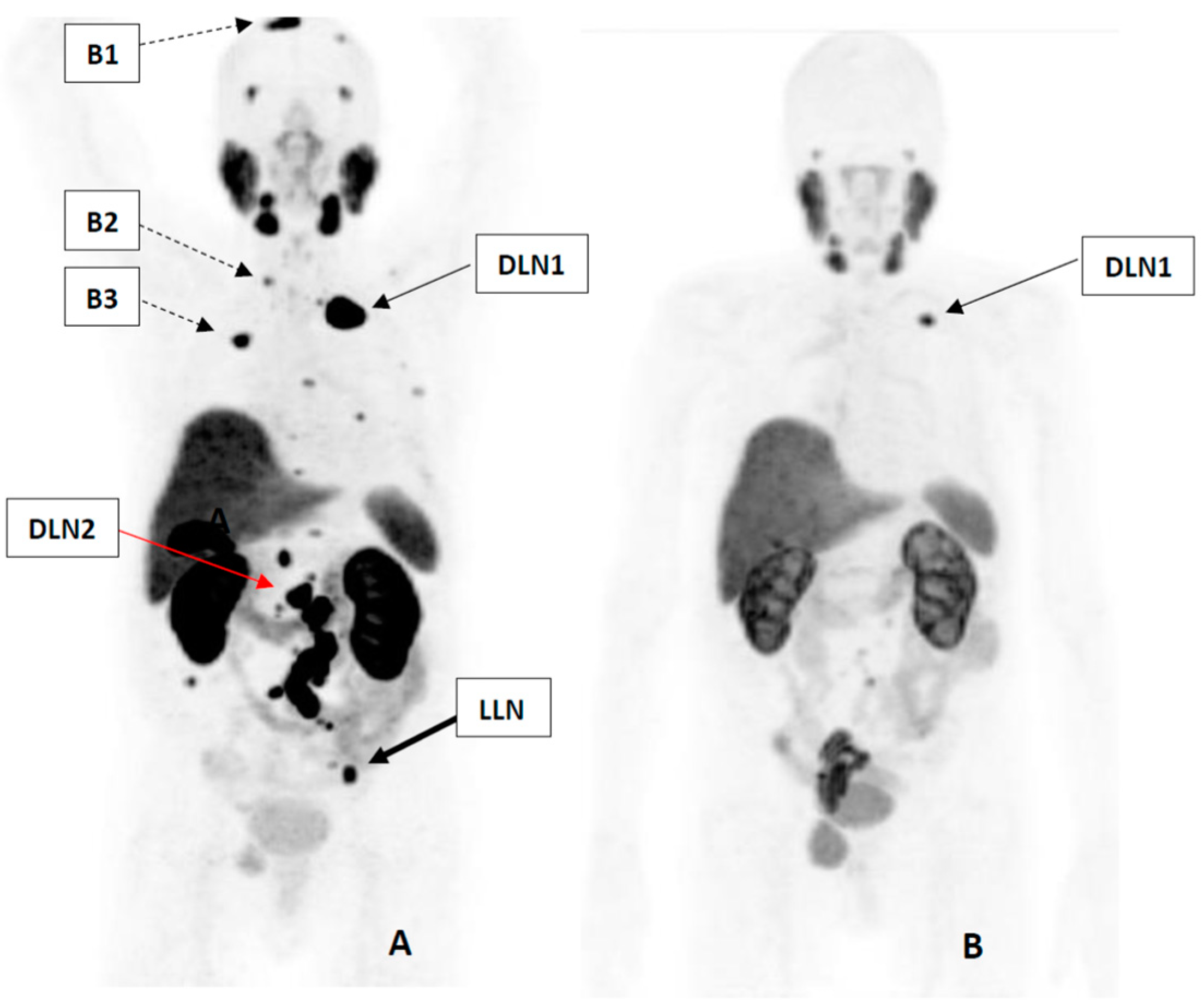 Life 11 00170 g002 Life 11 00170 g002