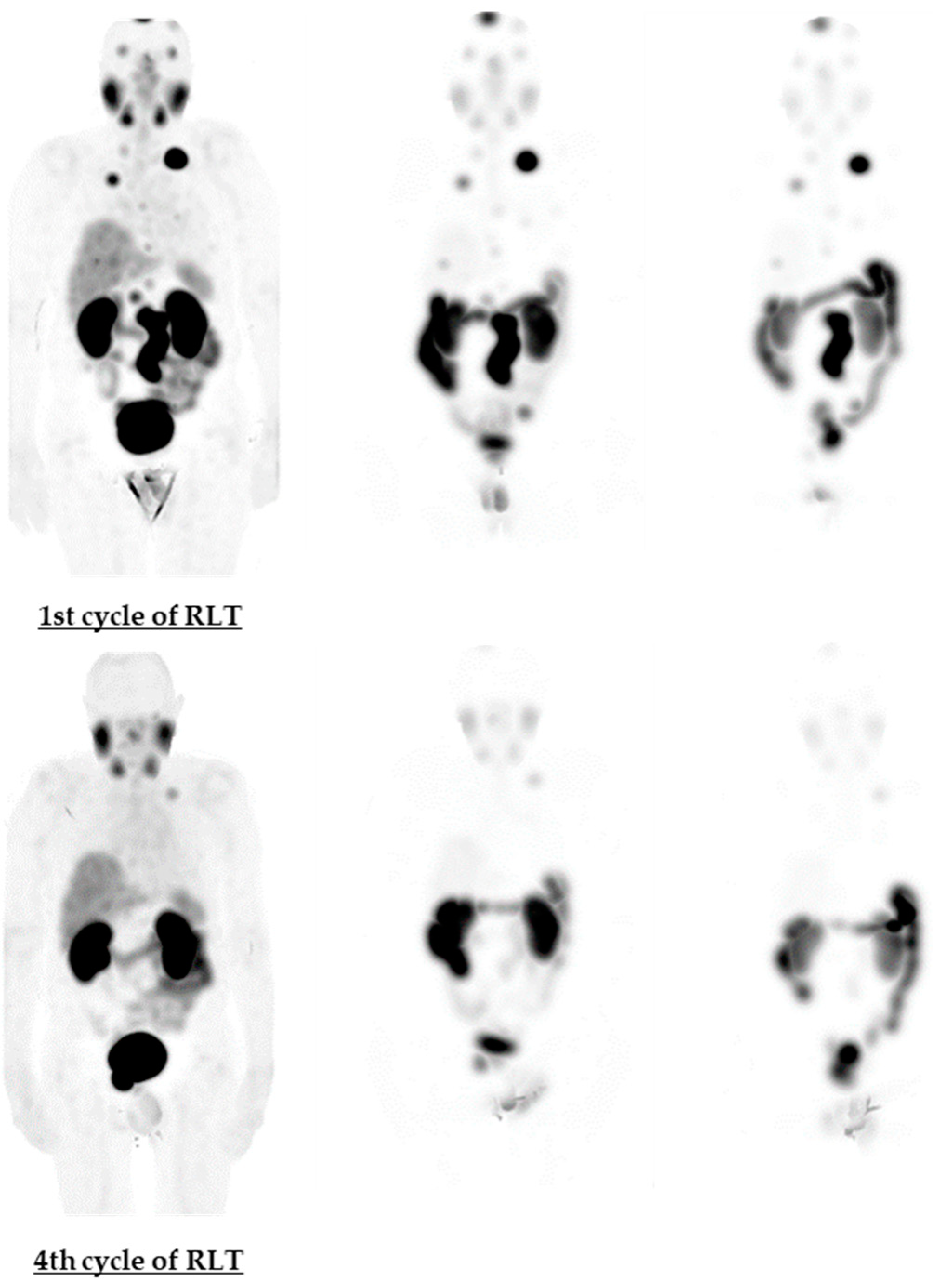 Life 11 00170 g003 Life 11 00170 g003