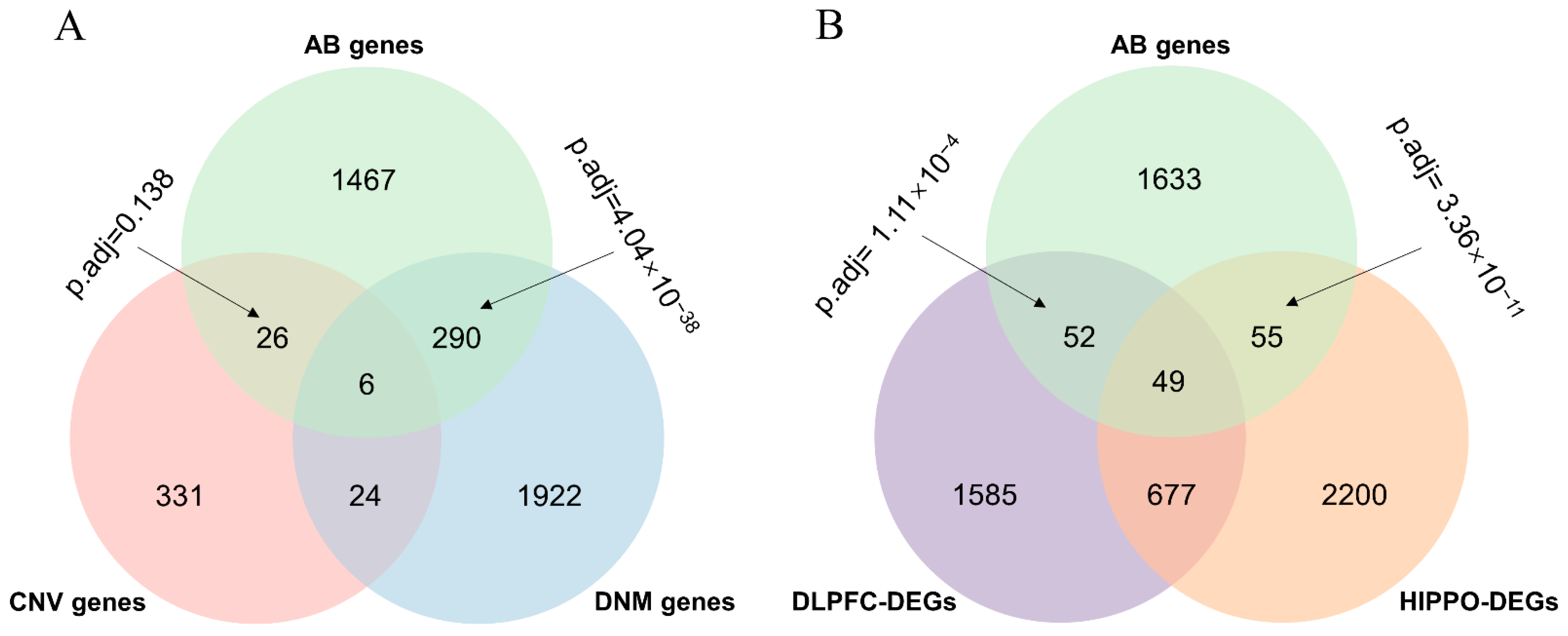 Life 11 00172 g002 Life 11 00172 g002