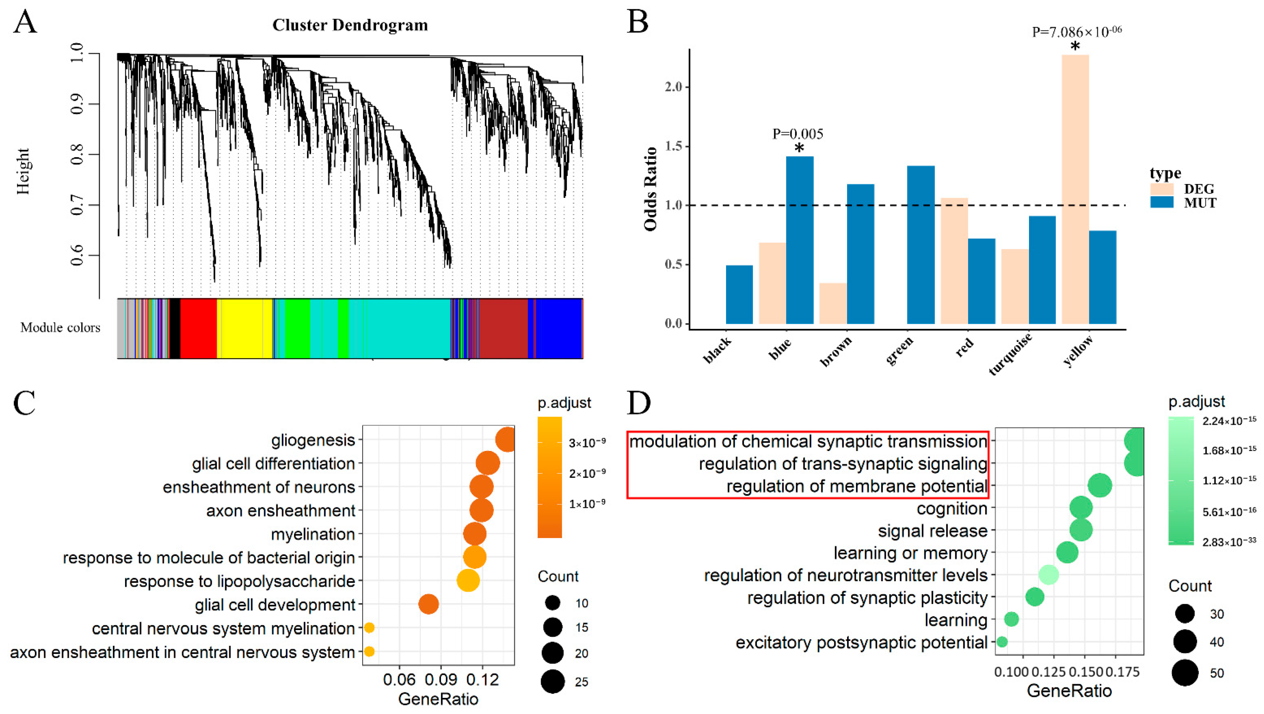 Life 11 00172 g004 Life 11 00172 g004