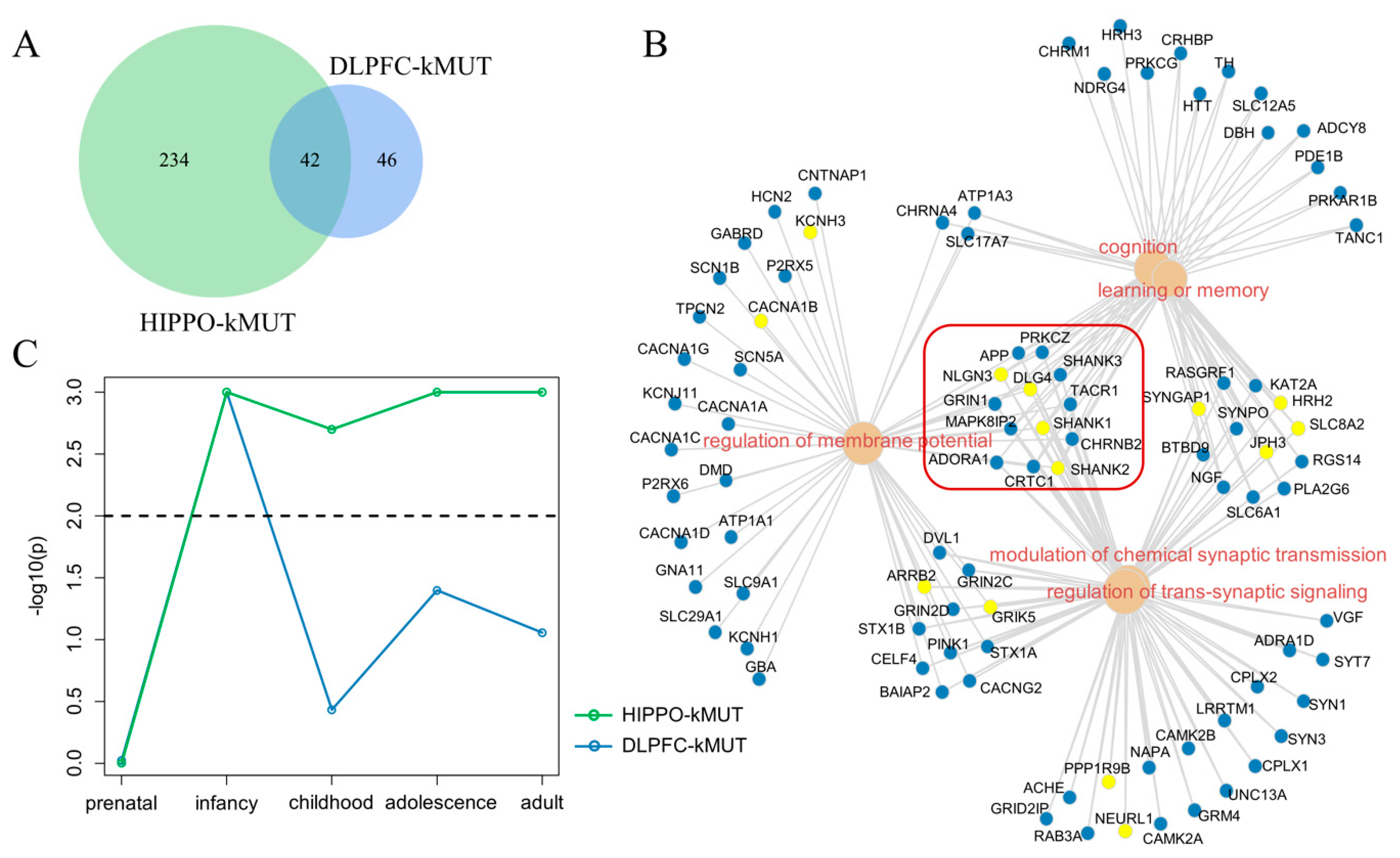 Life 11 00172 g005 Life 11 00172 g005