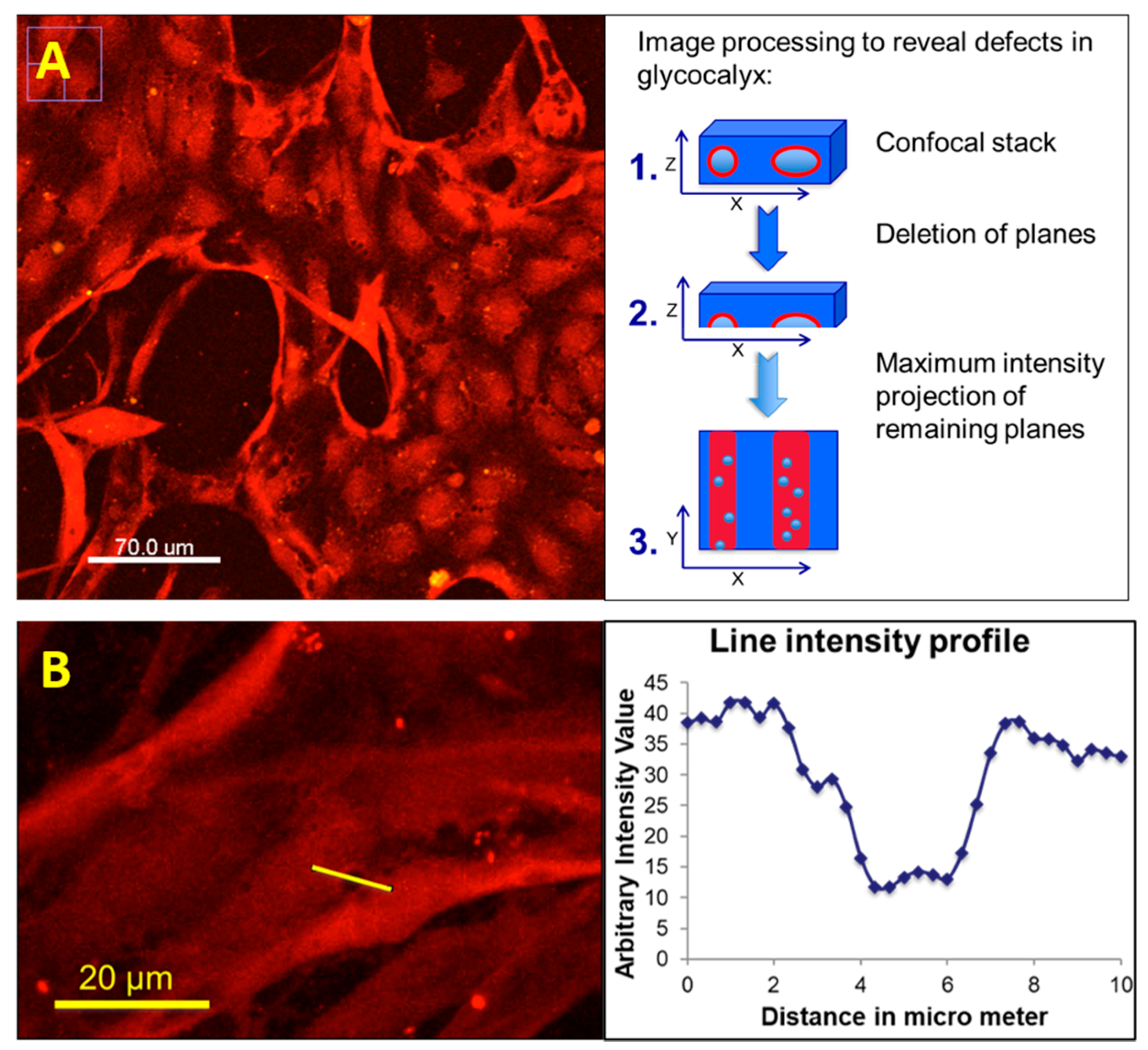 Life 11 00179 g004 Life 11 00179 g004