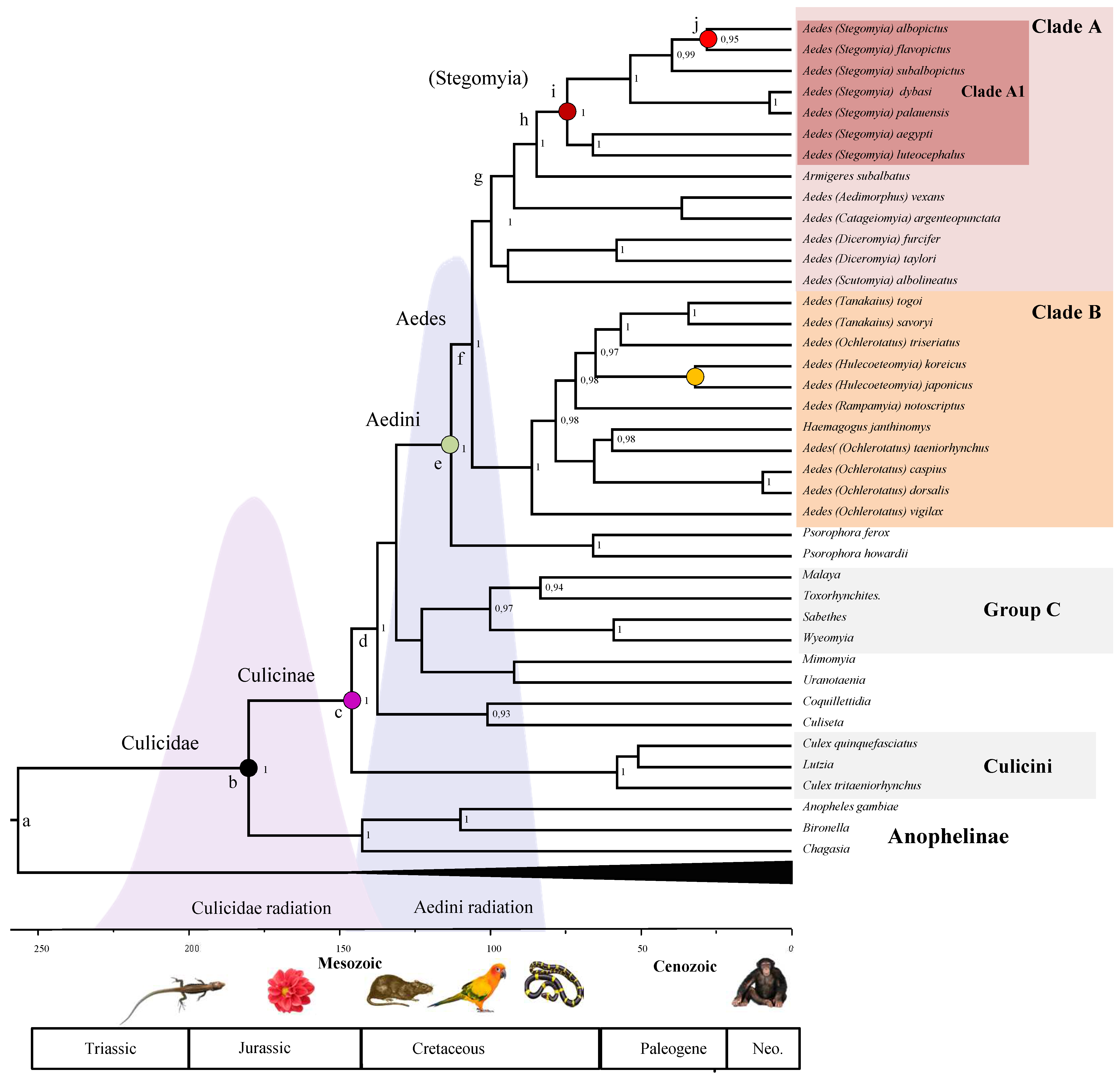 Life 11 00181 g003 Life 11 00181 g003