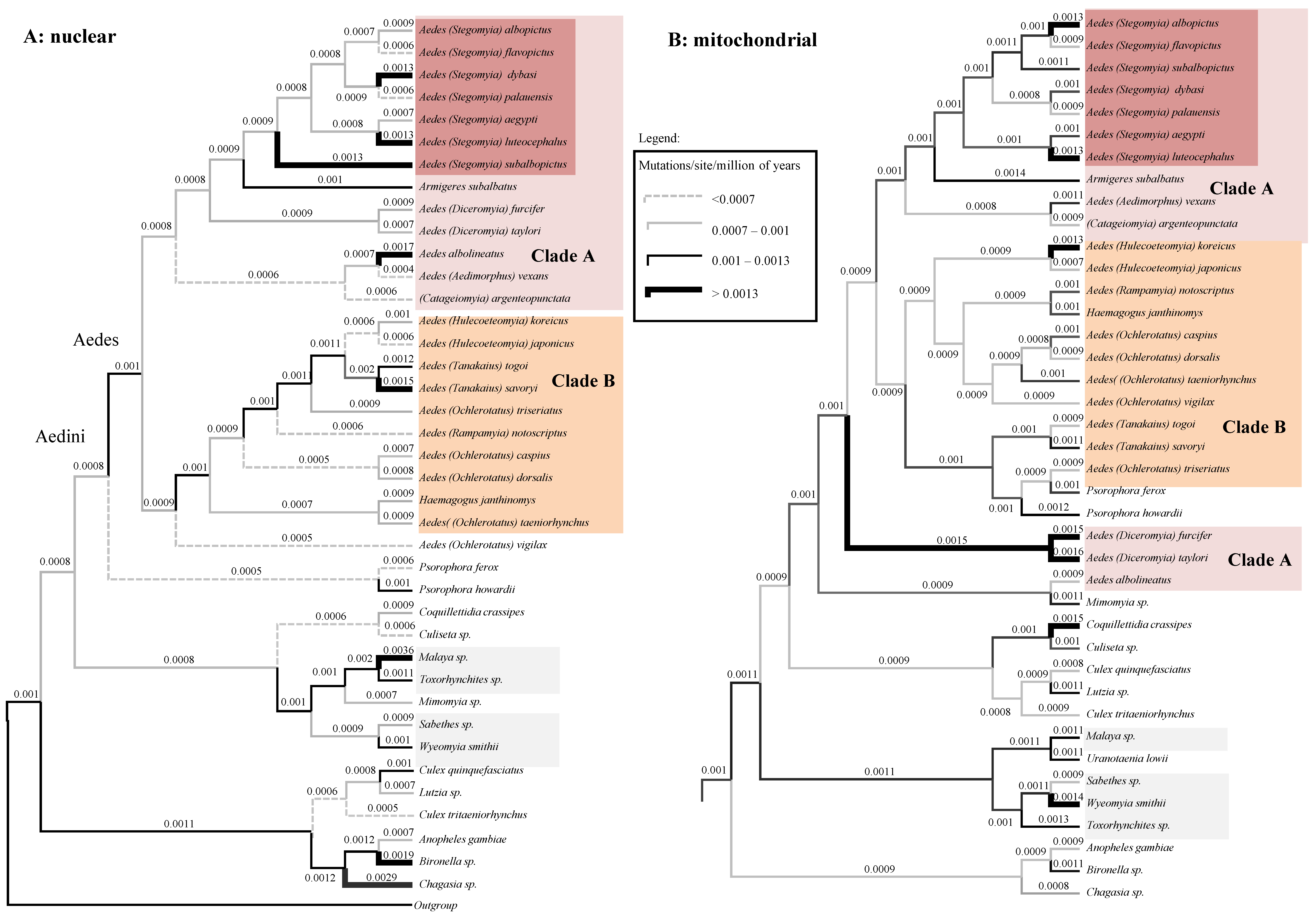 Life 11 00181 g005 Life 11 00181 g005