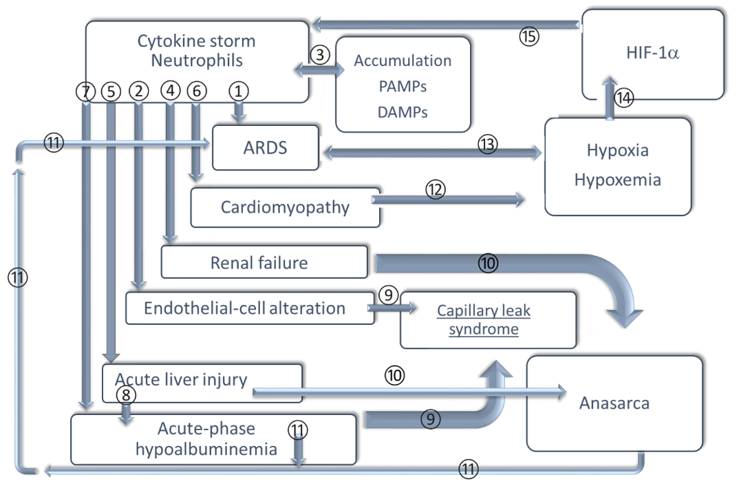 Life 11 00182 g001 Life 11 00182 g001