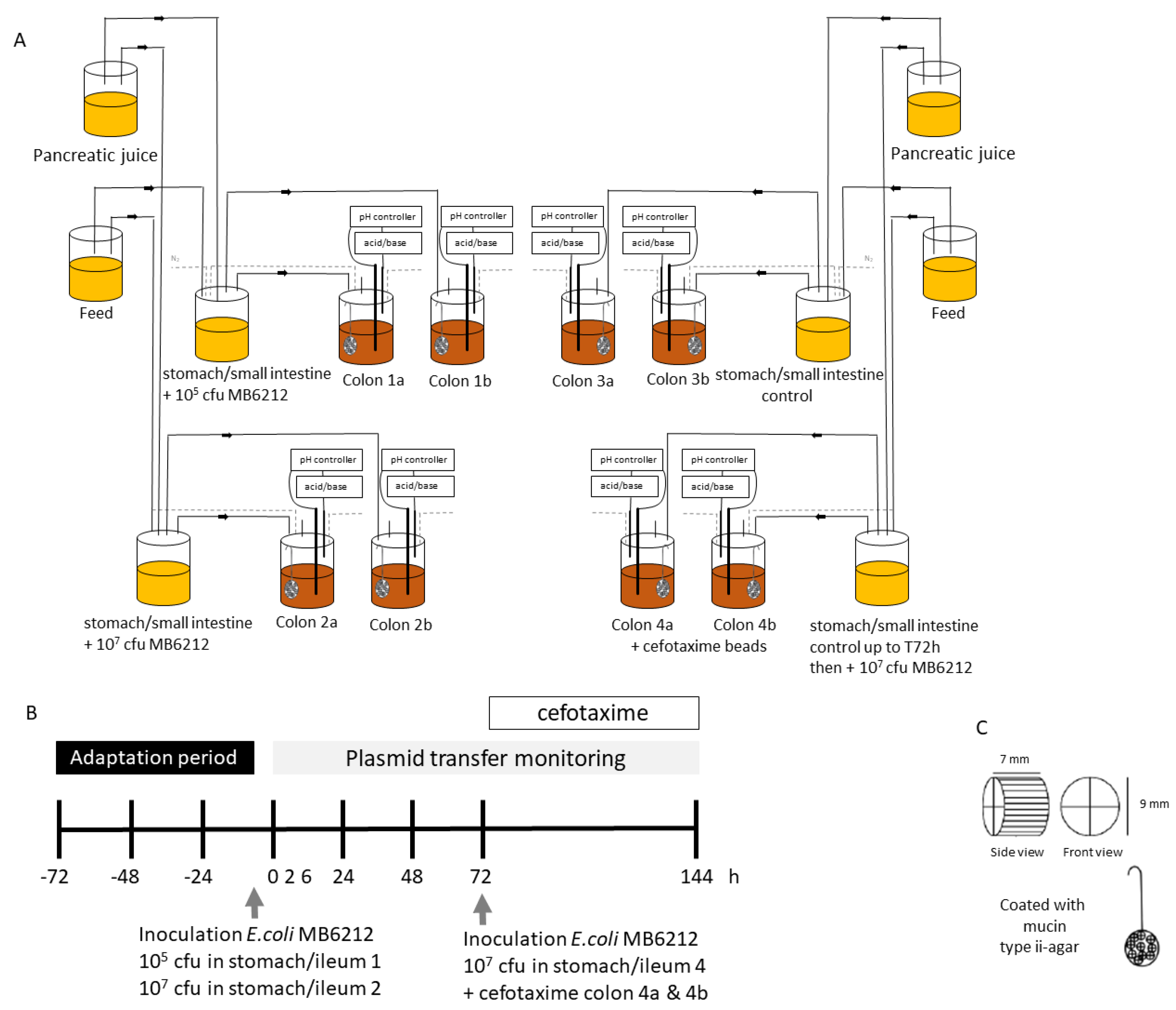Life 11 00192 g001 Life 11 00192 g001
