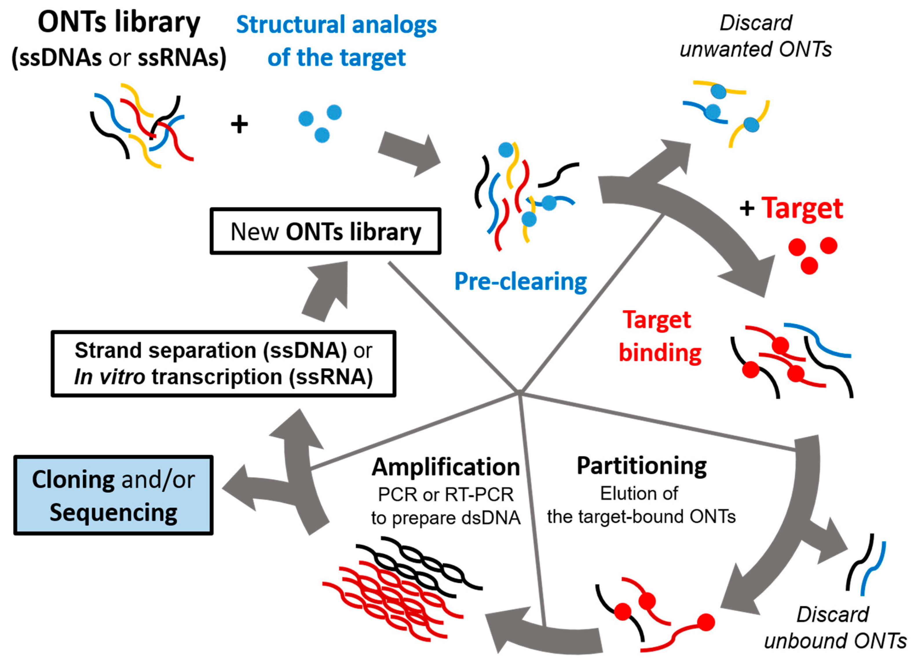 Life 11 00193 g001 Life 11 00193 g001