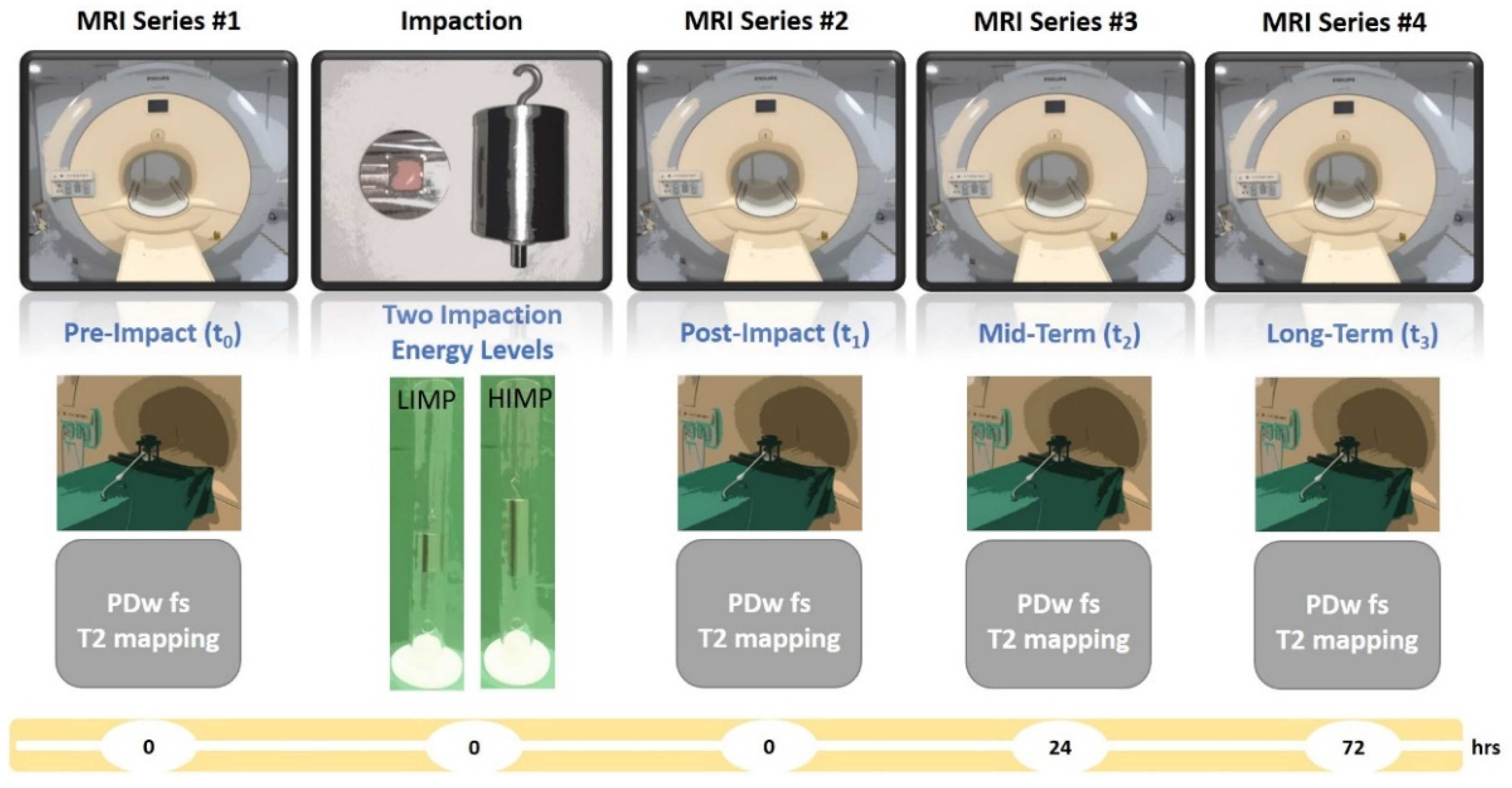 Life 11 00201 g002 Life 11 00201 g002