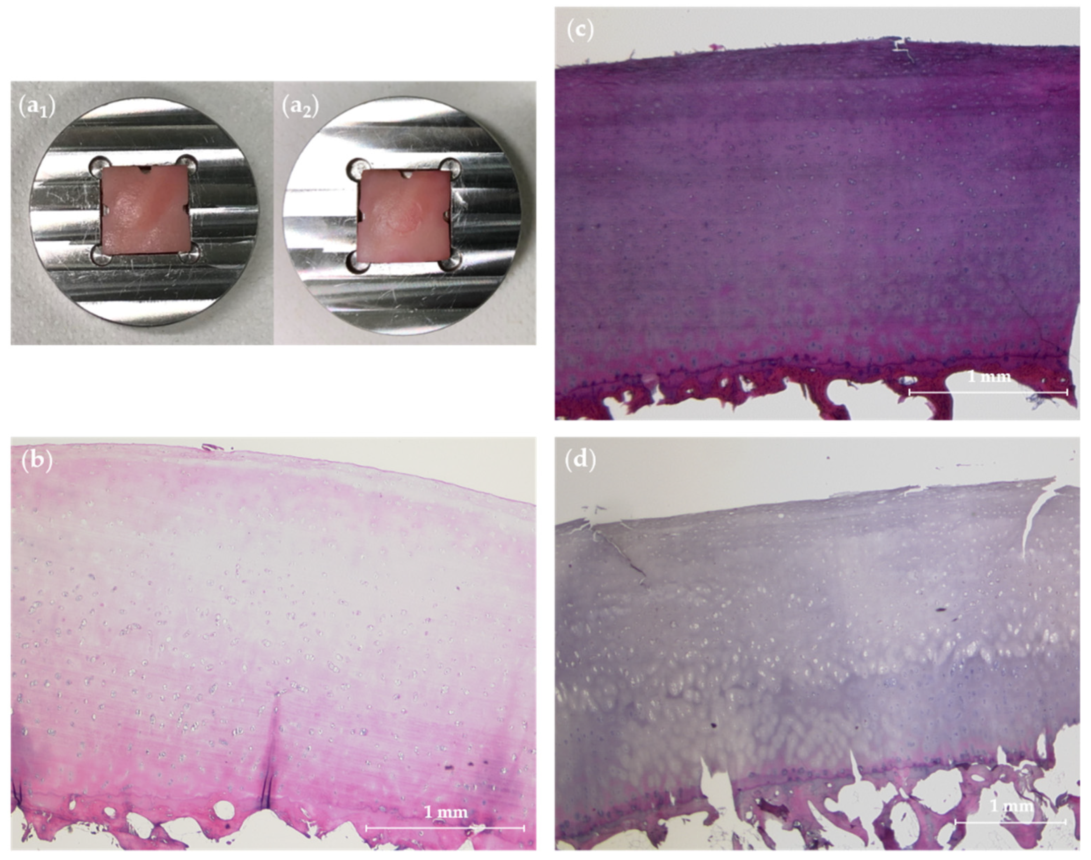 Life 11 00201 g003 Life 11 00201 g003