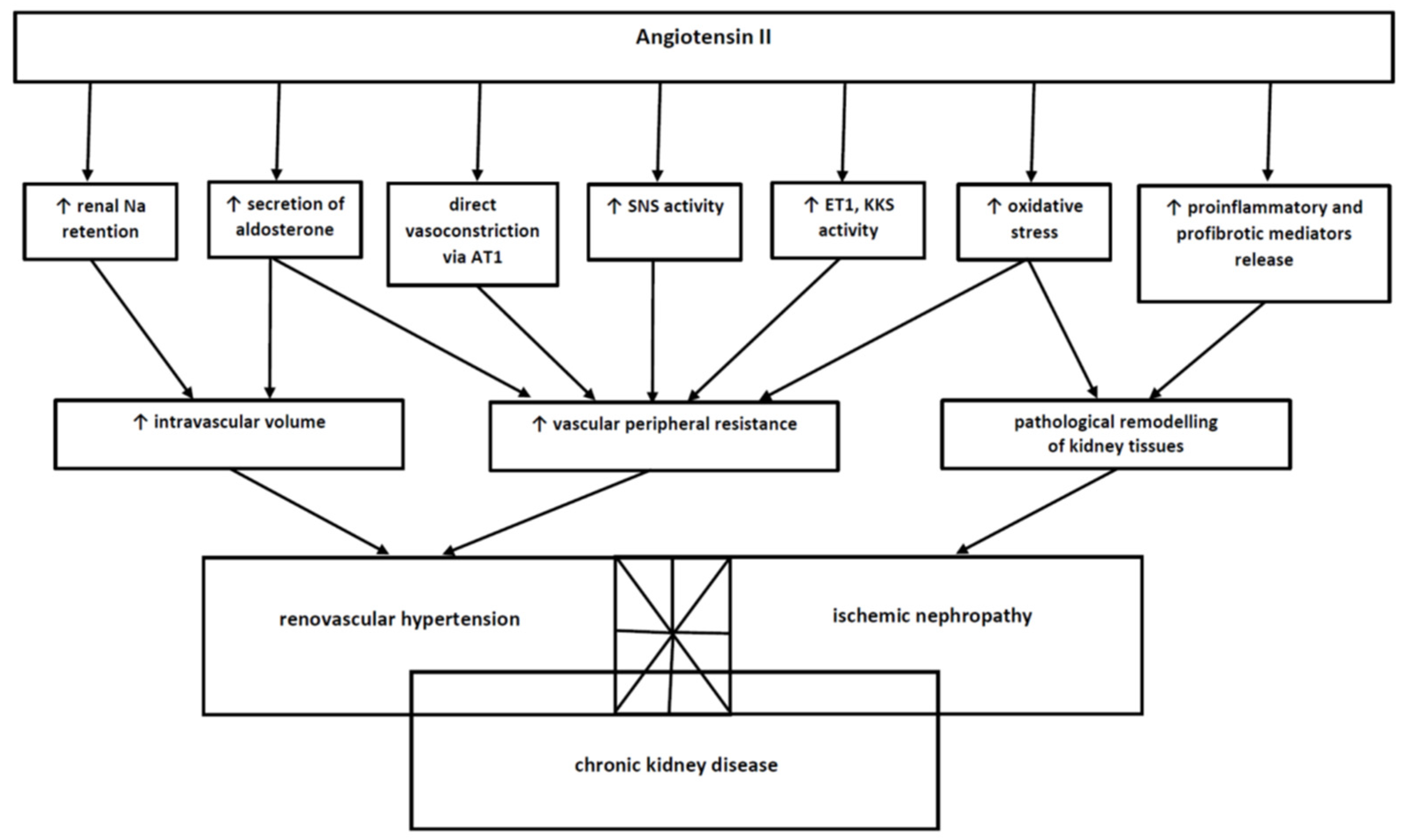 Life 11 00208 g003 Life 11 00208 g003