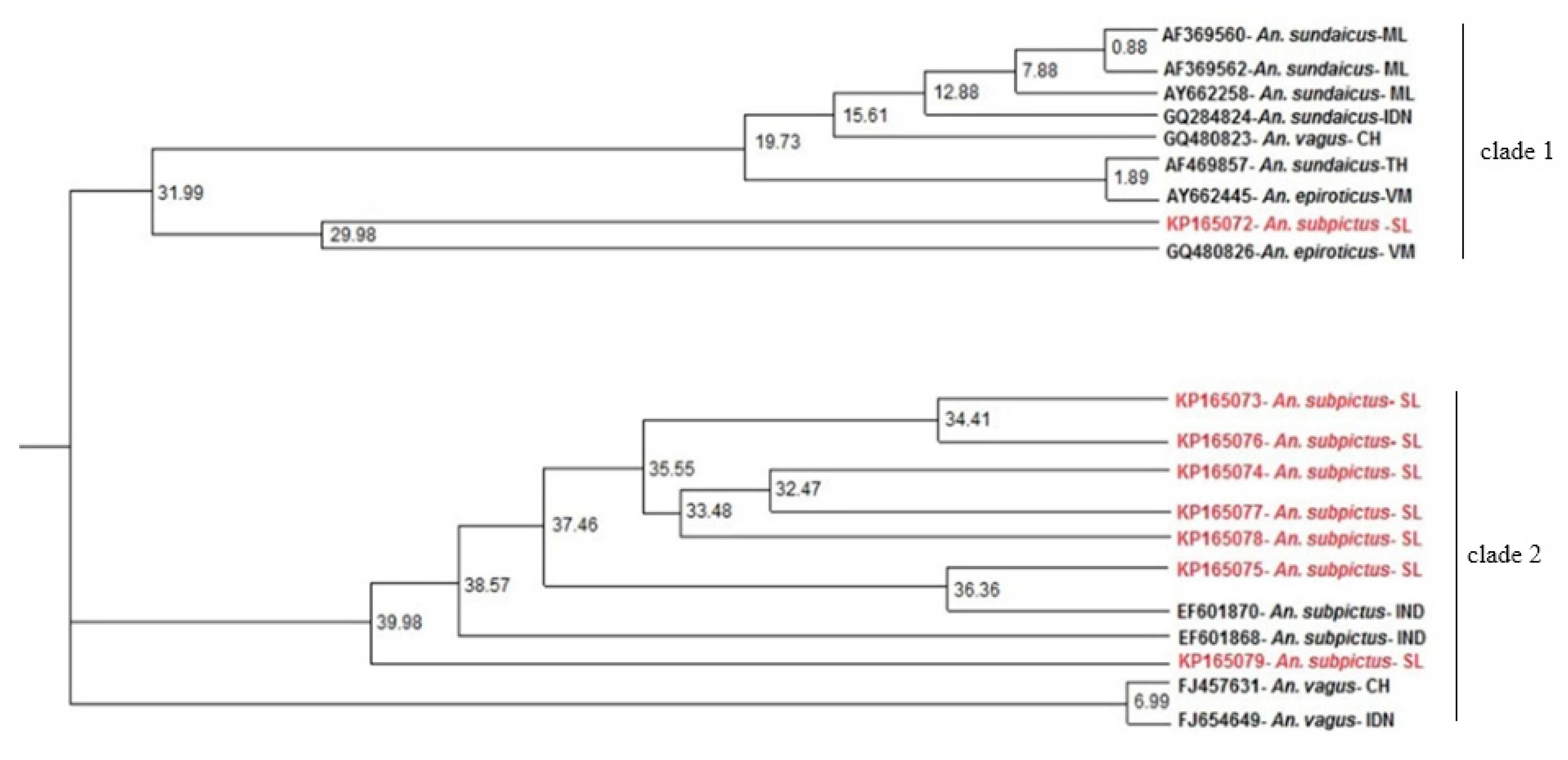 Life 11 00211 g004 Life 11 00211 g004