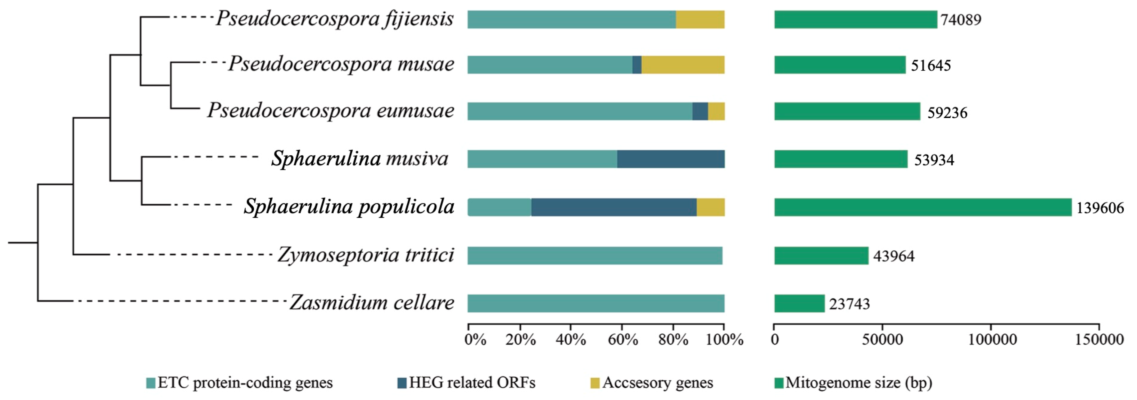 Life 11 00215 g003 Life 11 00215 g003