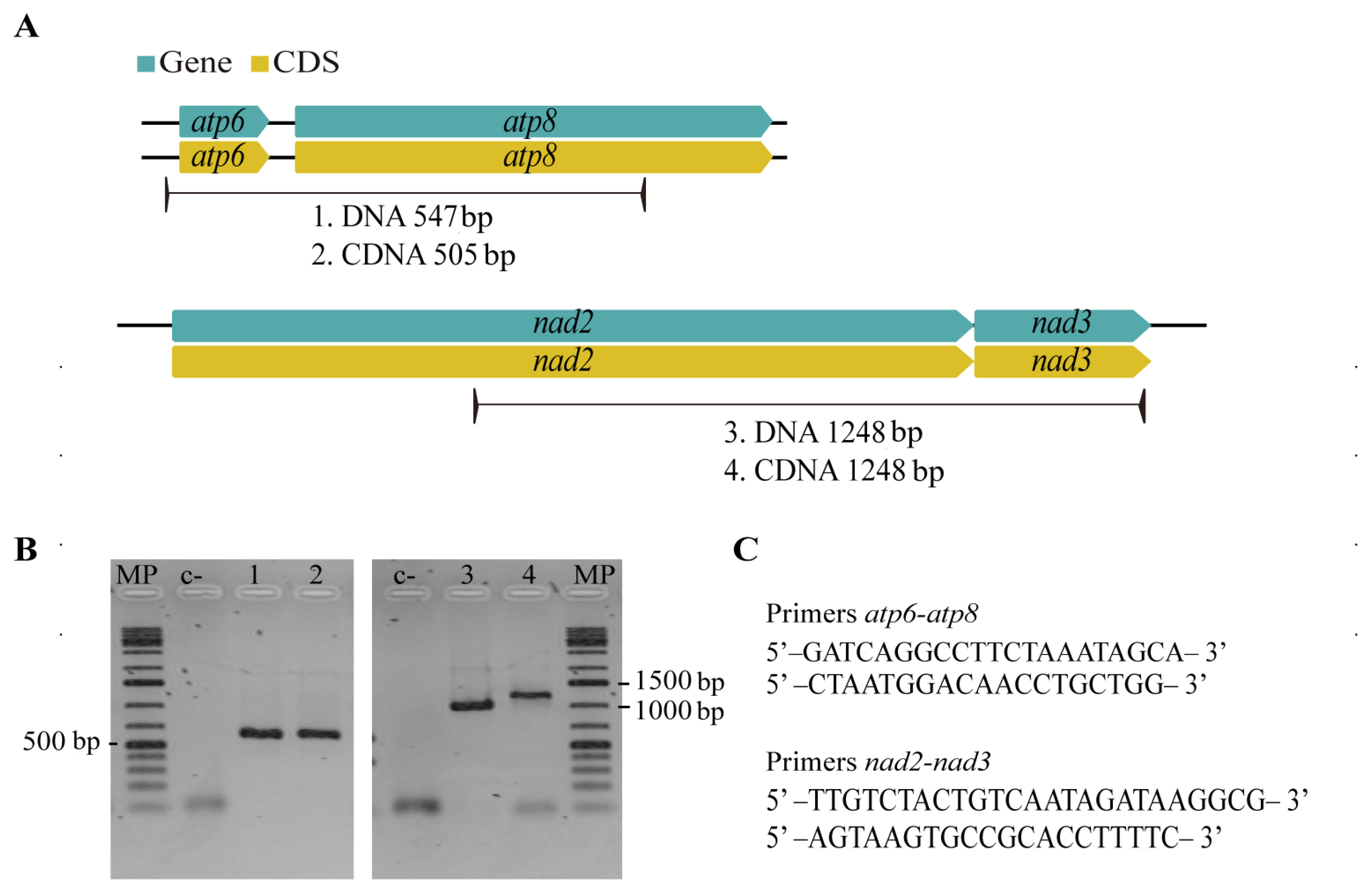 Life 11 00215 g005 Life 11 00215 g005