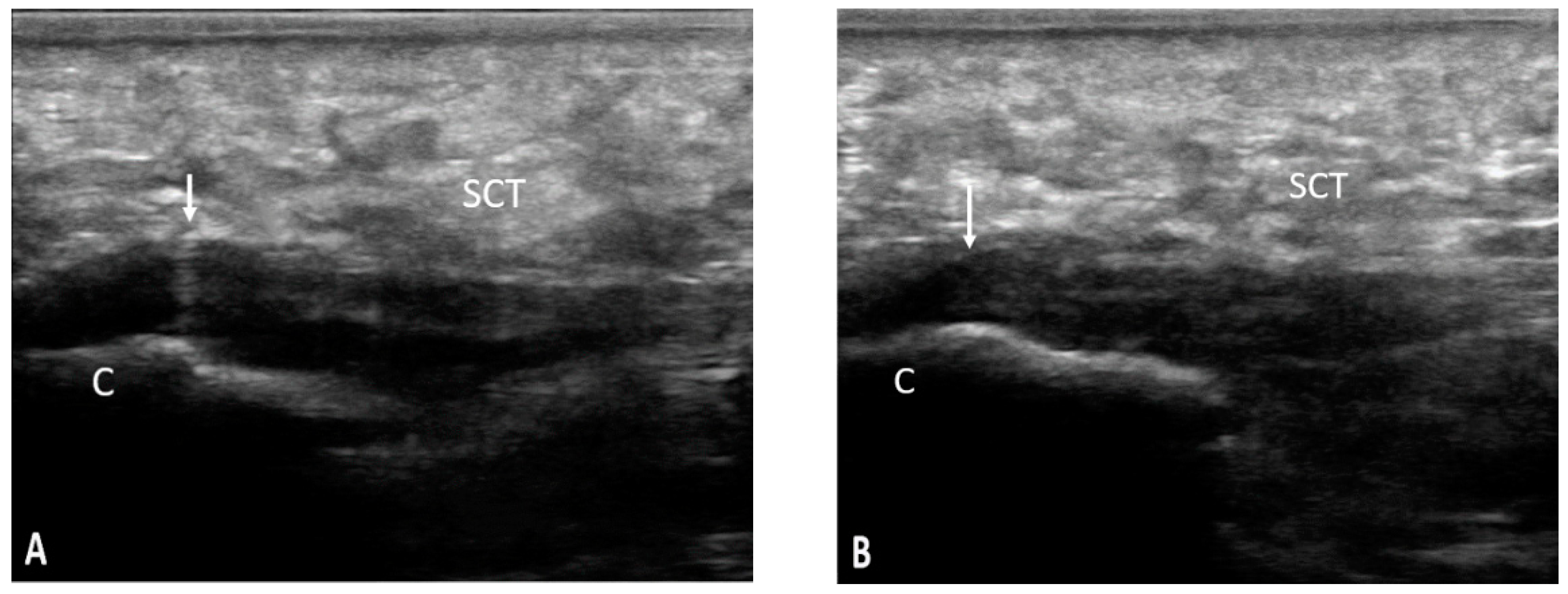 Life 11 00218 g004 Life 11 00218 g004