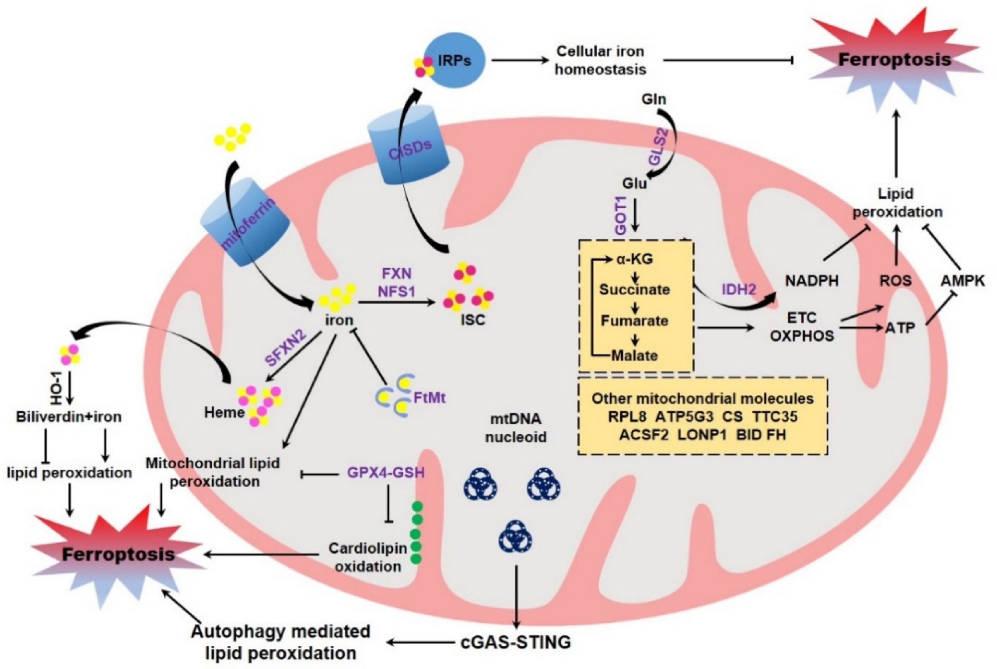 Life 11 00222 g003 Life 11 00222 g003