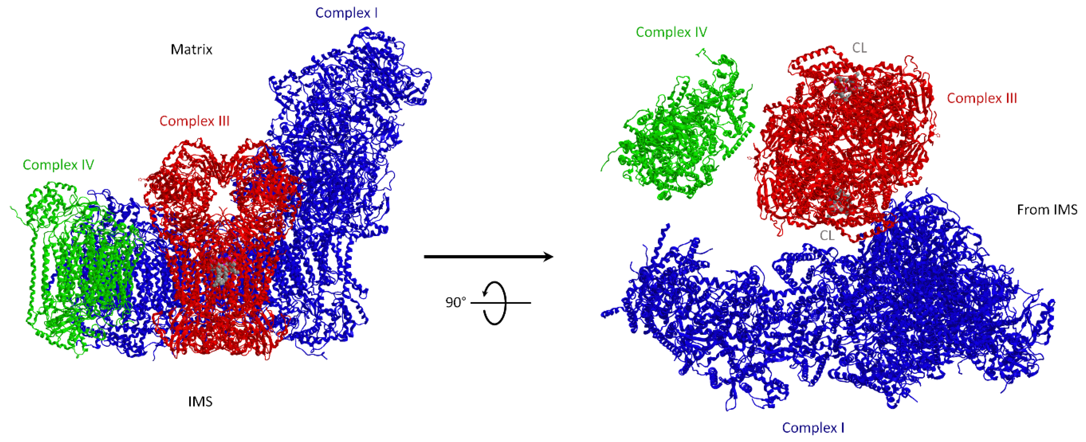 Life 11 00242 g002 Life 11 00242 g002