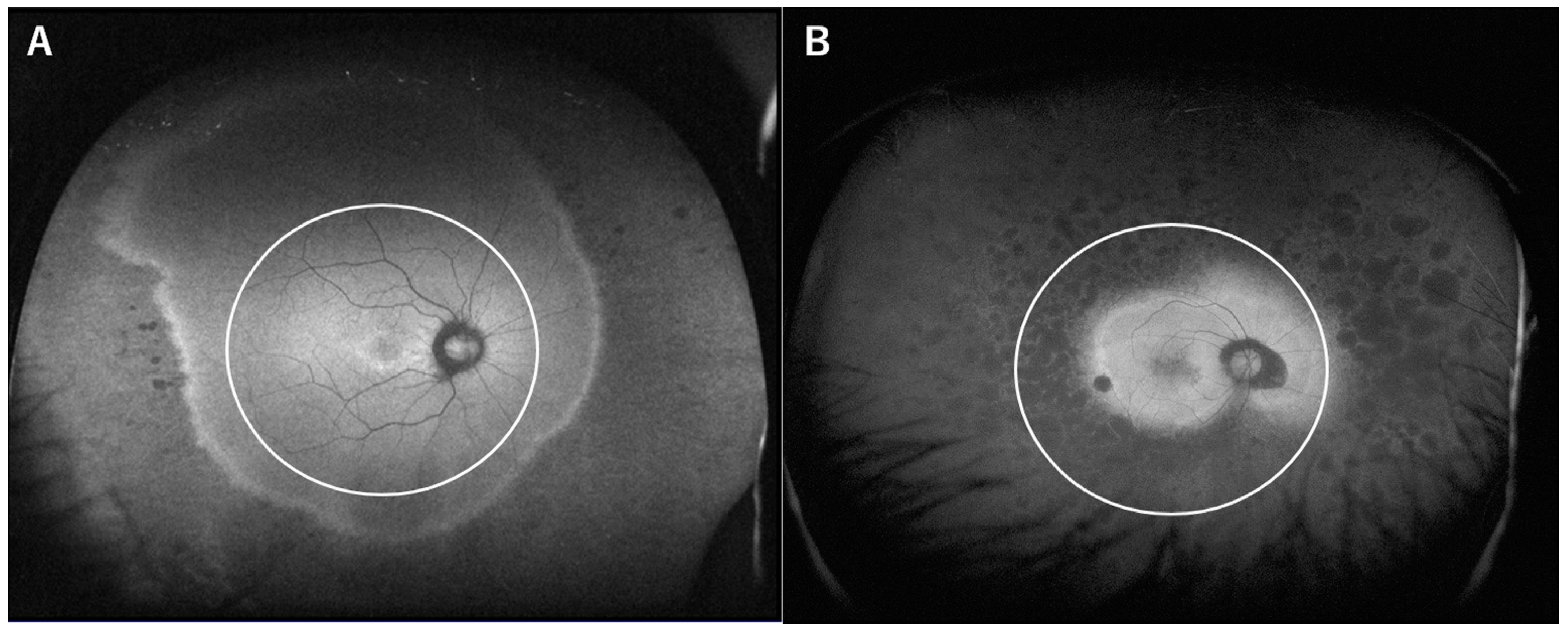 Life 11 00260 g001 Life 11 00260 g001