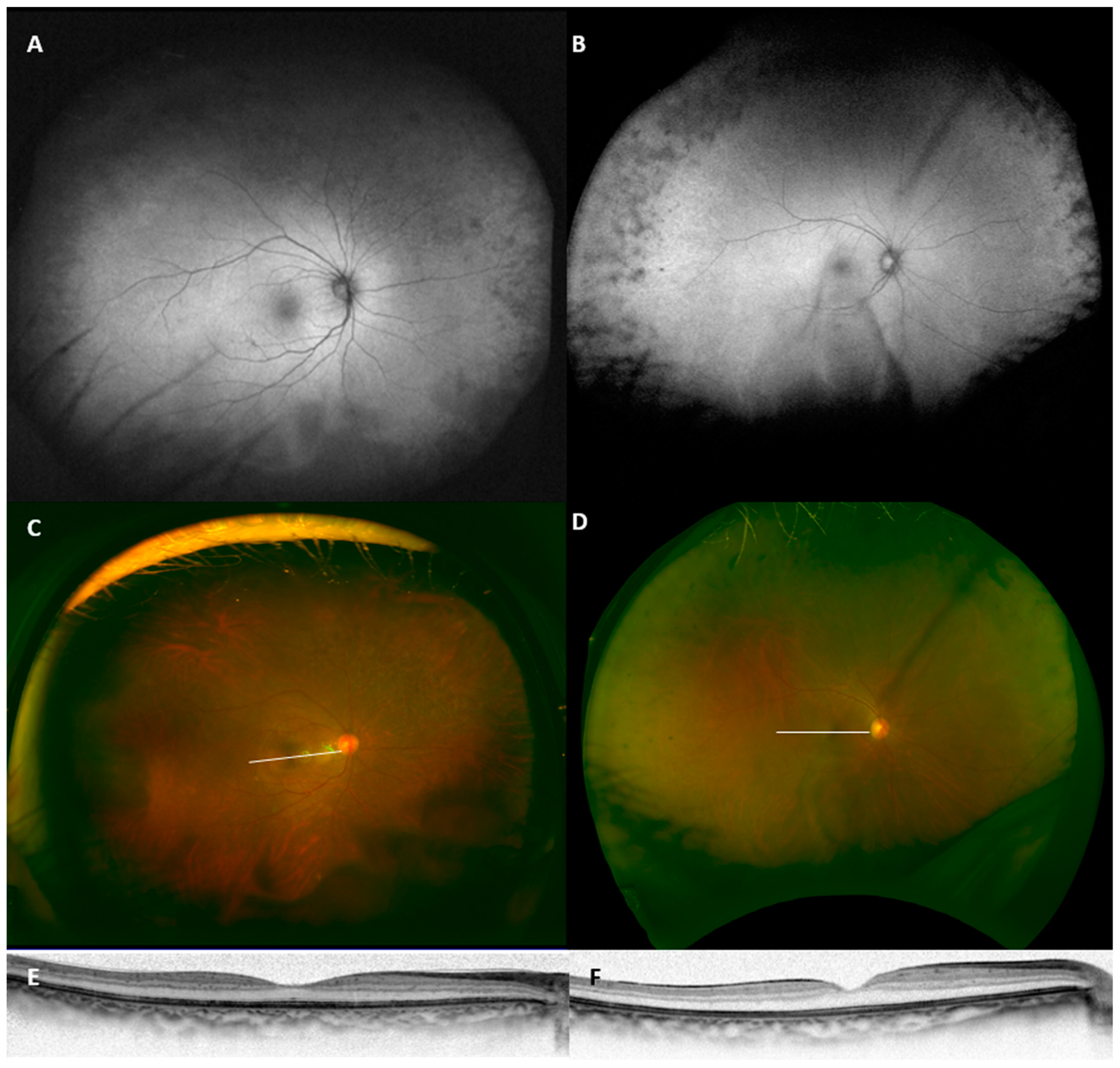 Life 11 00260 g003 Life 11 00260 g003