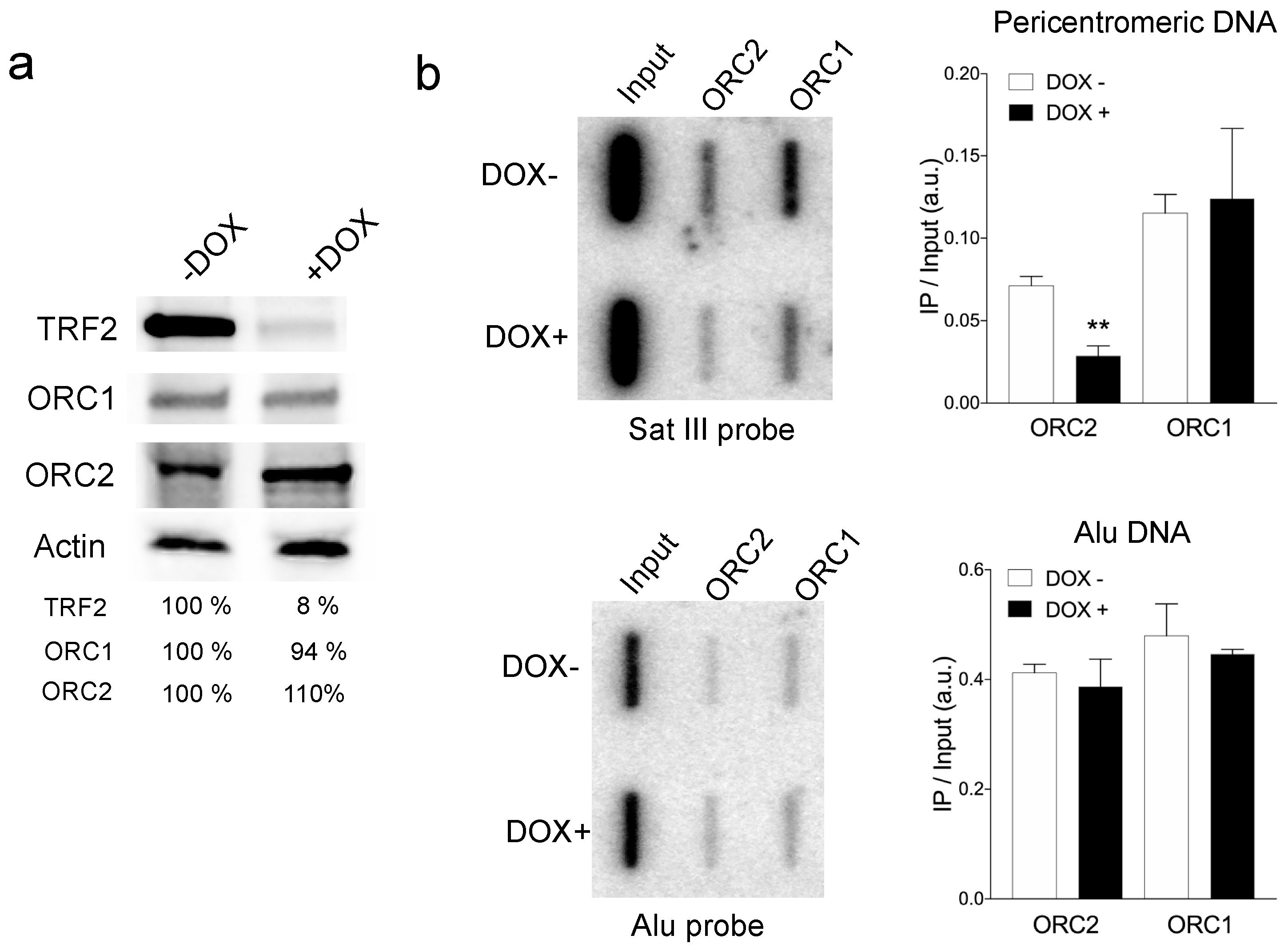 Life 11 00267 g001 Life 11 00267 g001
