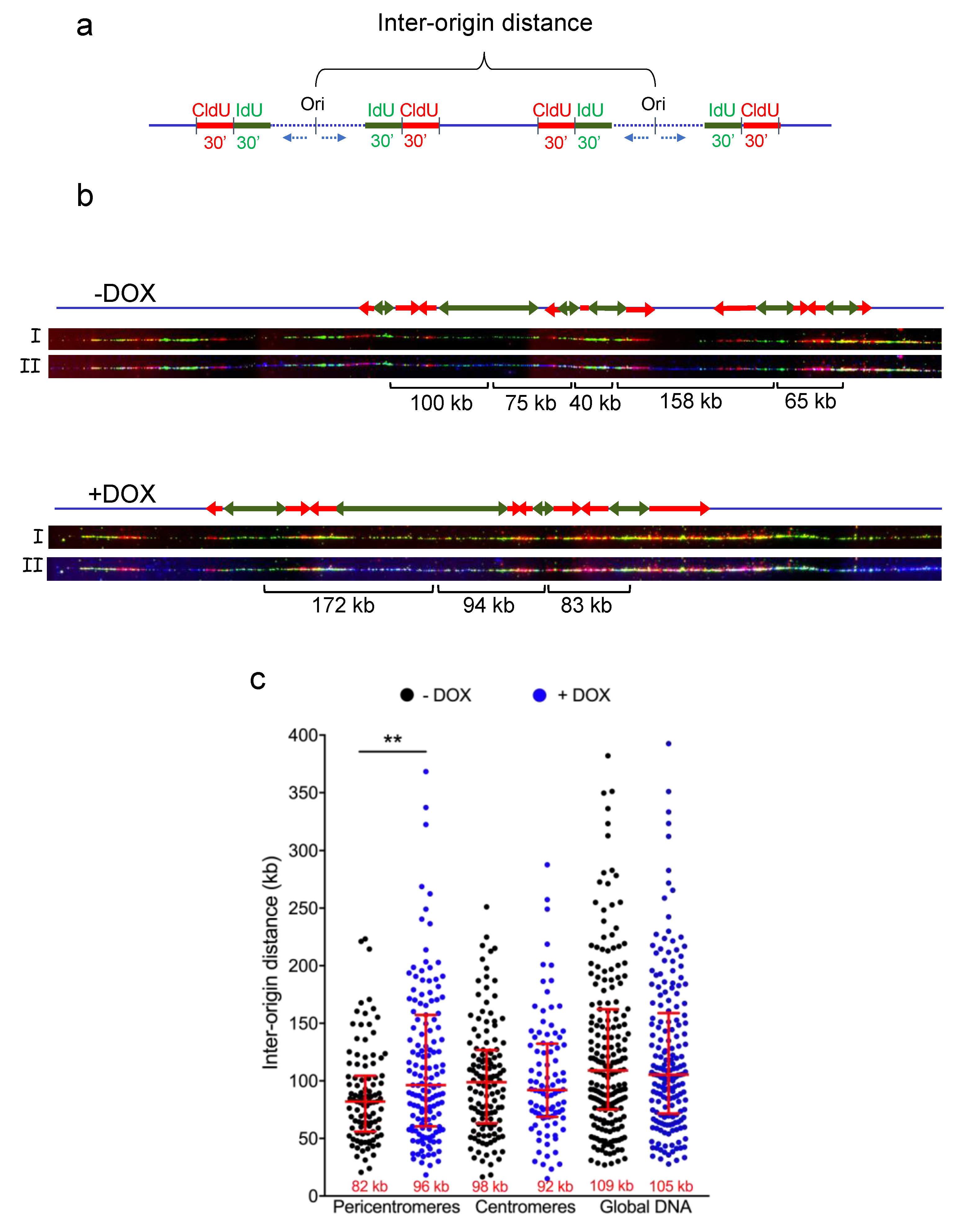 Life 11 00267 g002 Life 11 00267 g002