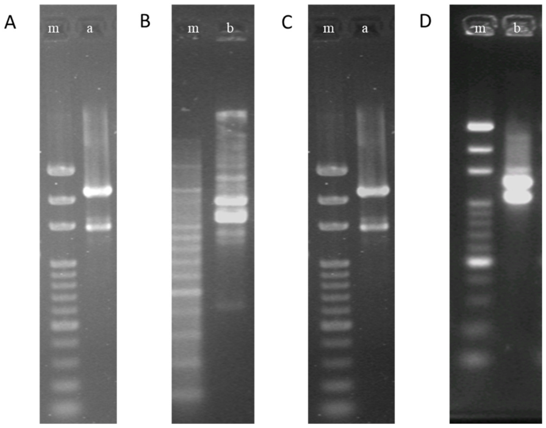 Life 11 00268 g001 Life 11 00268 g001