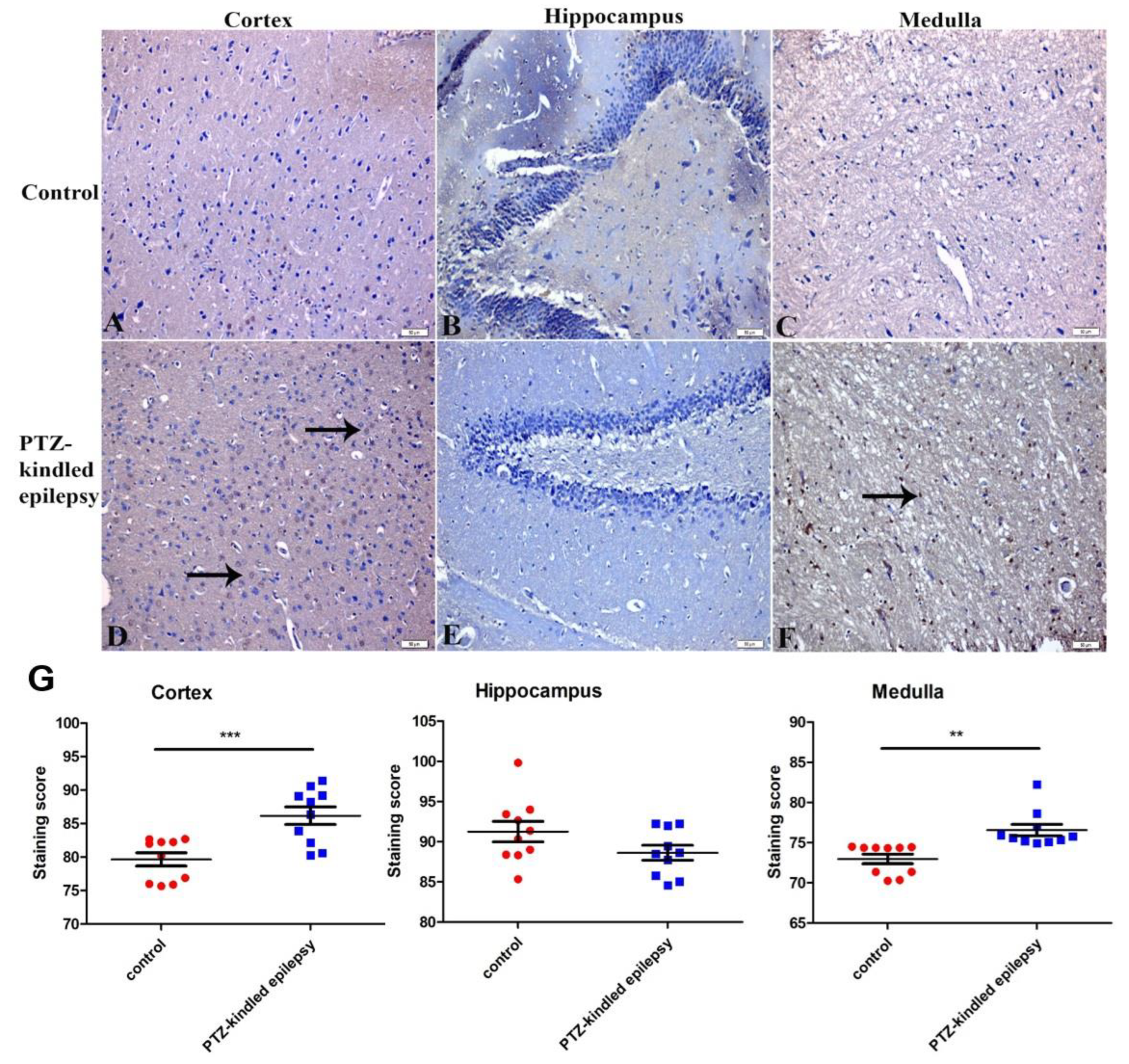 Life 11 00276 g005 Life 11 00276 g005