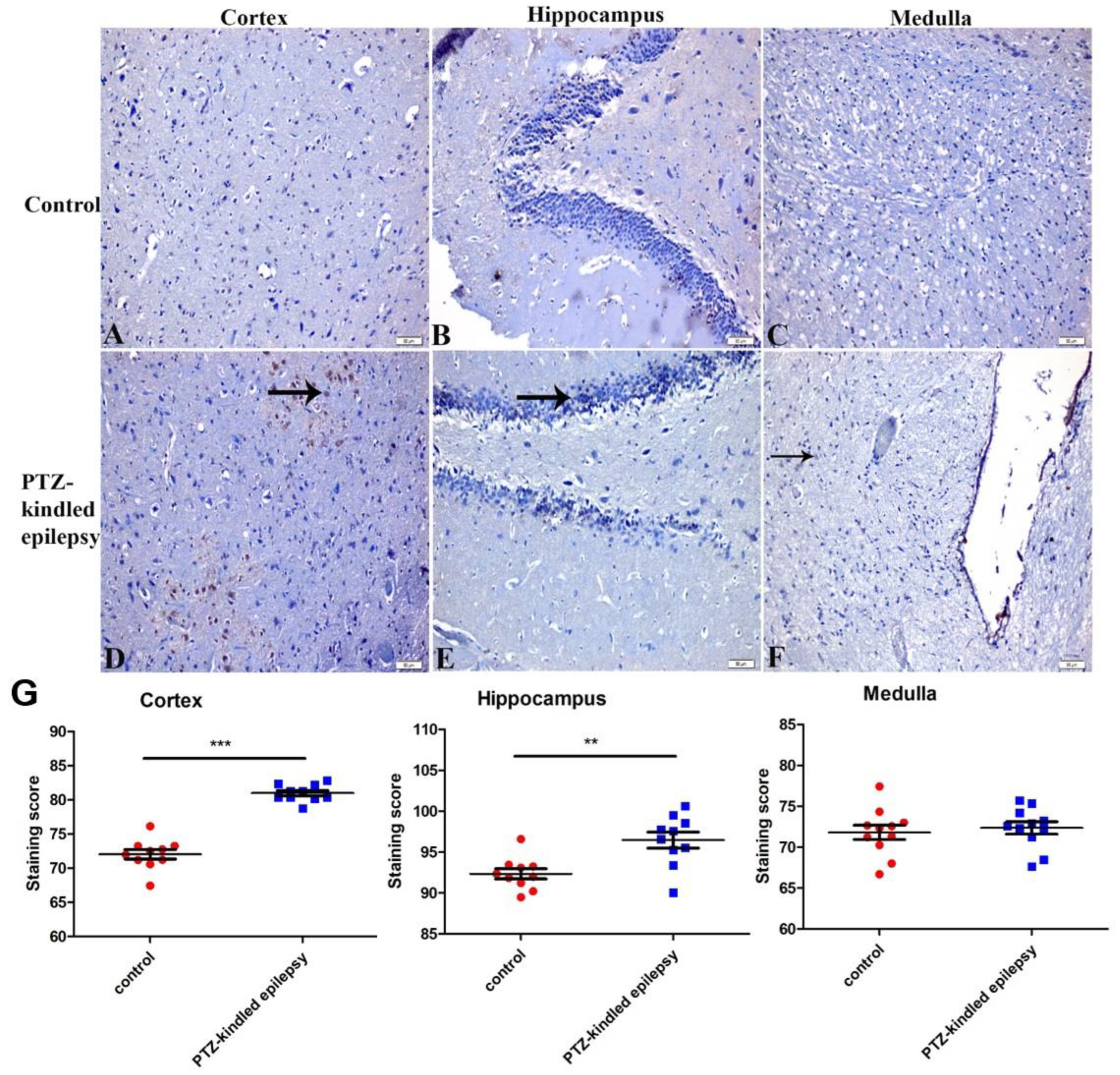 Life 11 00276 g008 Life 11 00276 g008