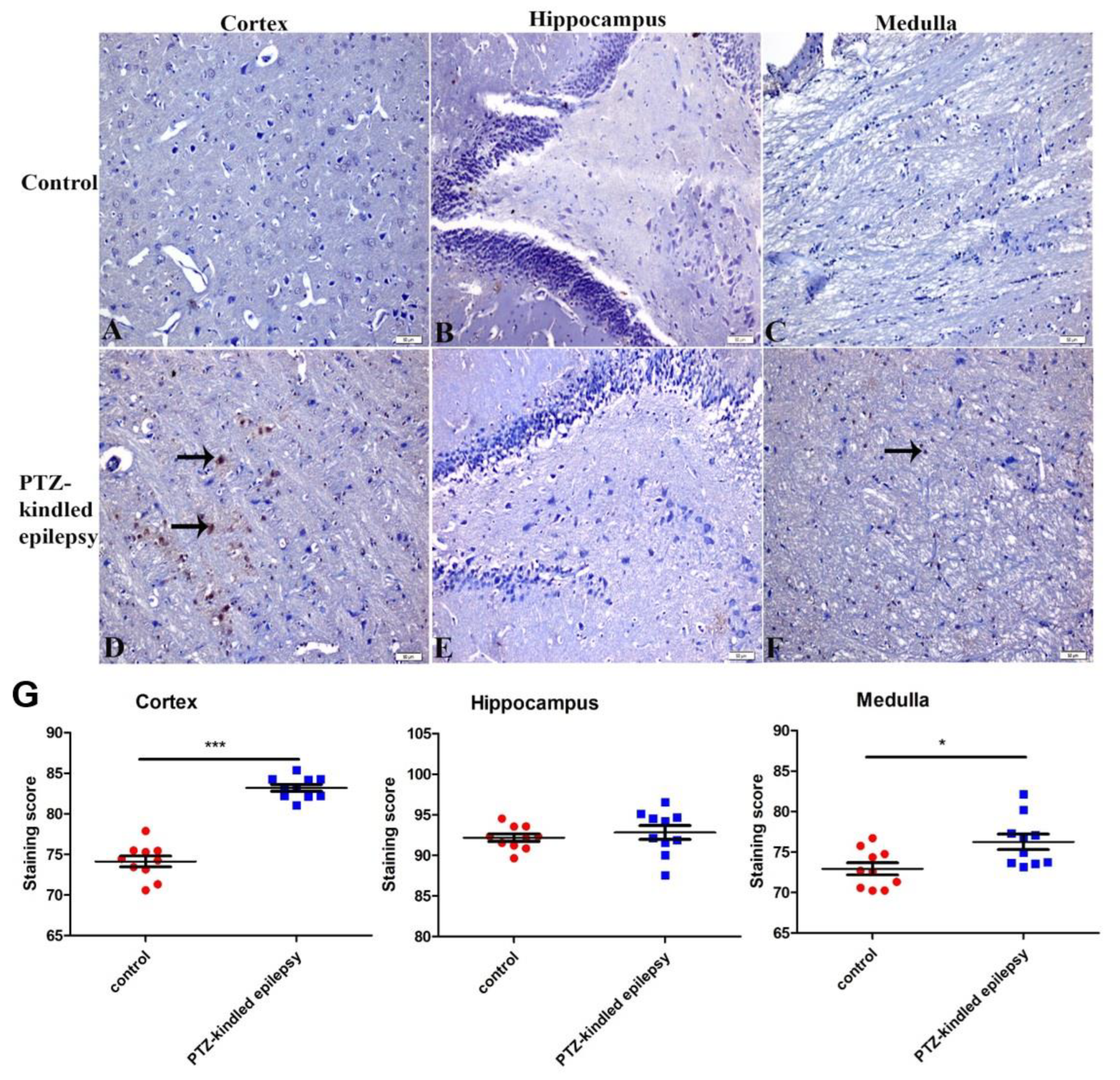 Life 11 00276 g009 Life 11 00276 g009