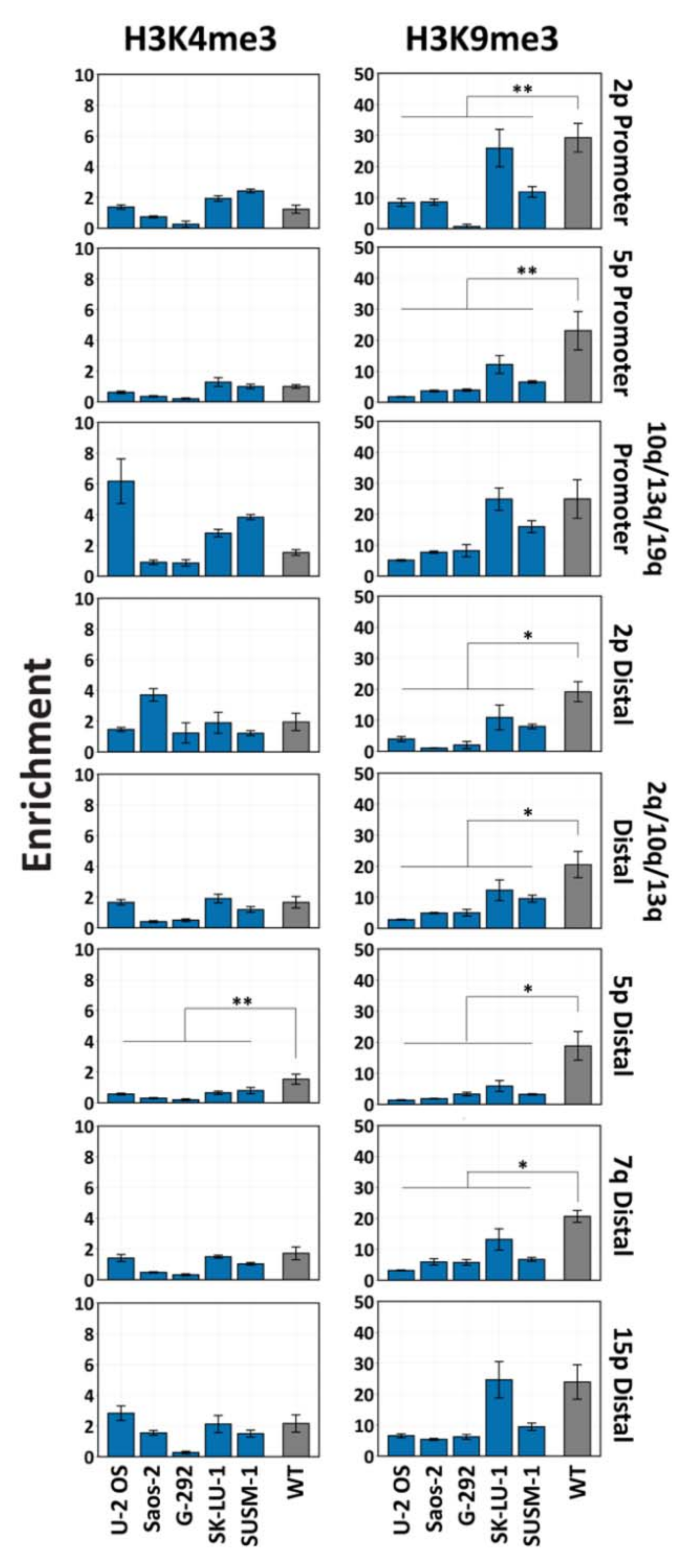 Life 11 00278 g005 Life 11 00278 g005