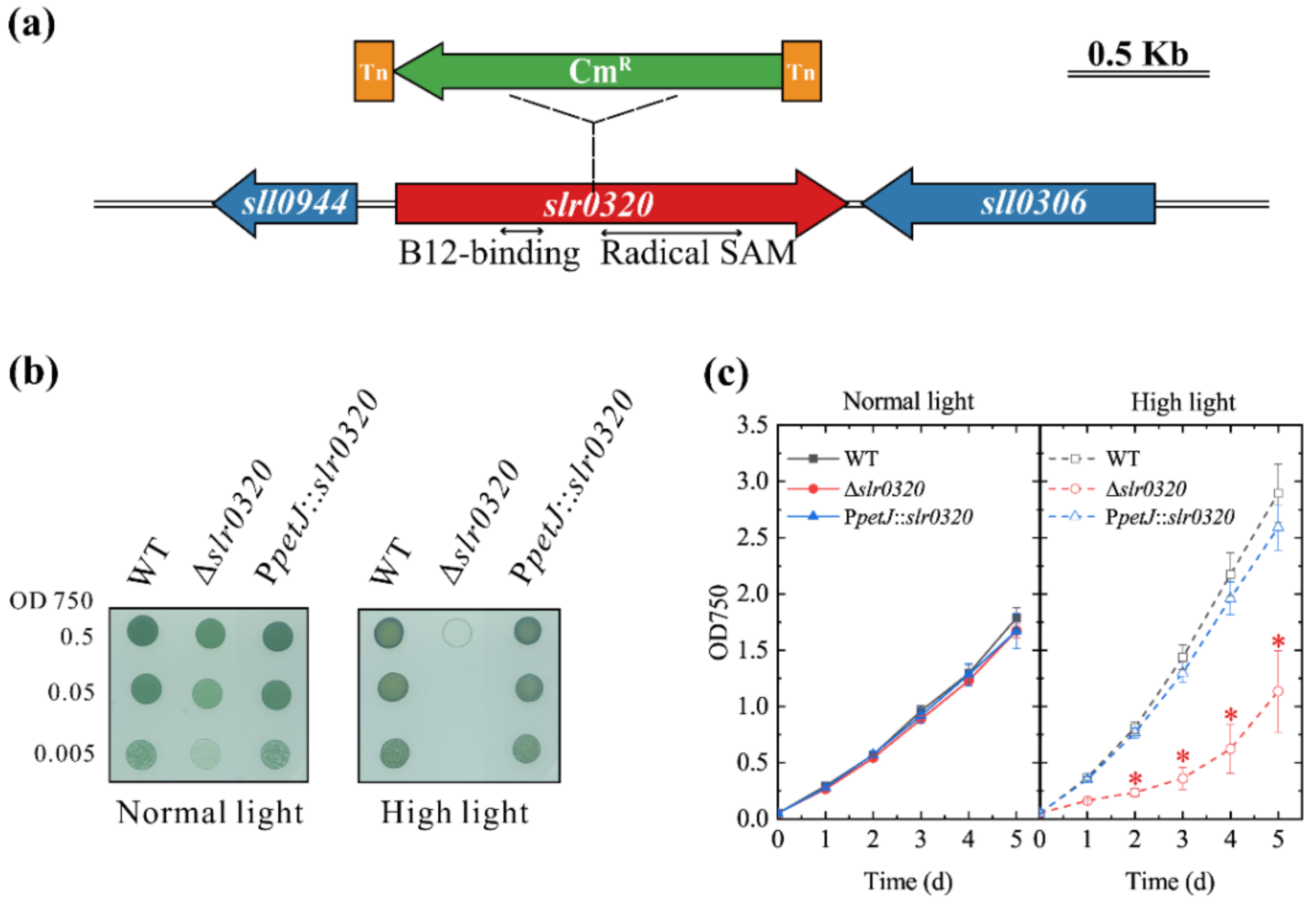 Life 11 00279 g001 Life 11 00279 g001