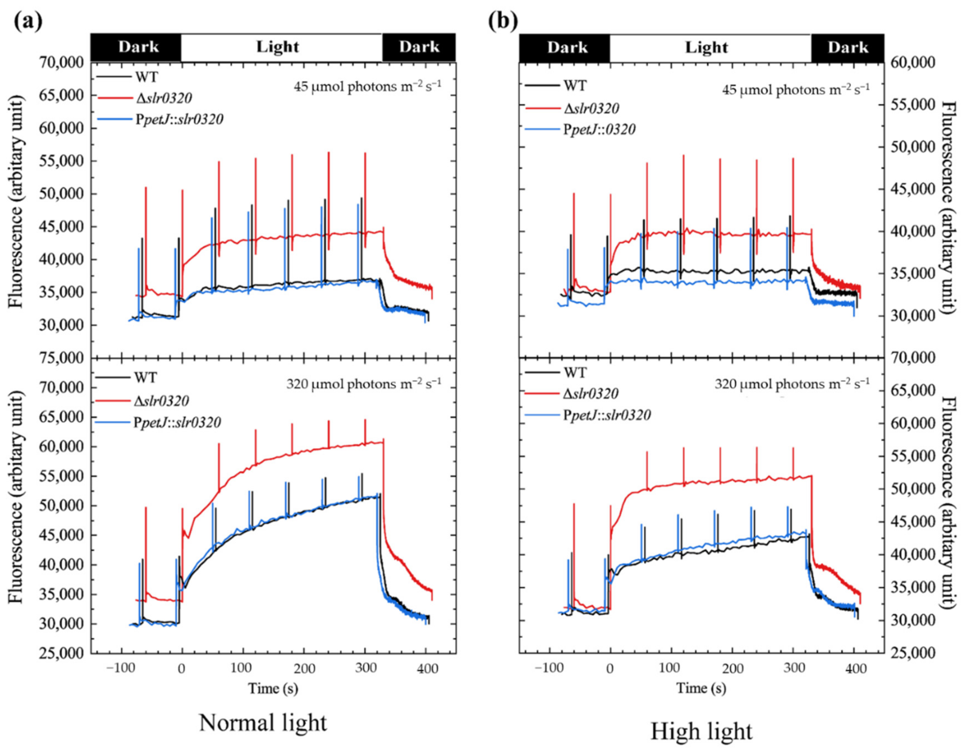 Life 11 00279 g003a Life 11 00279 g003a