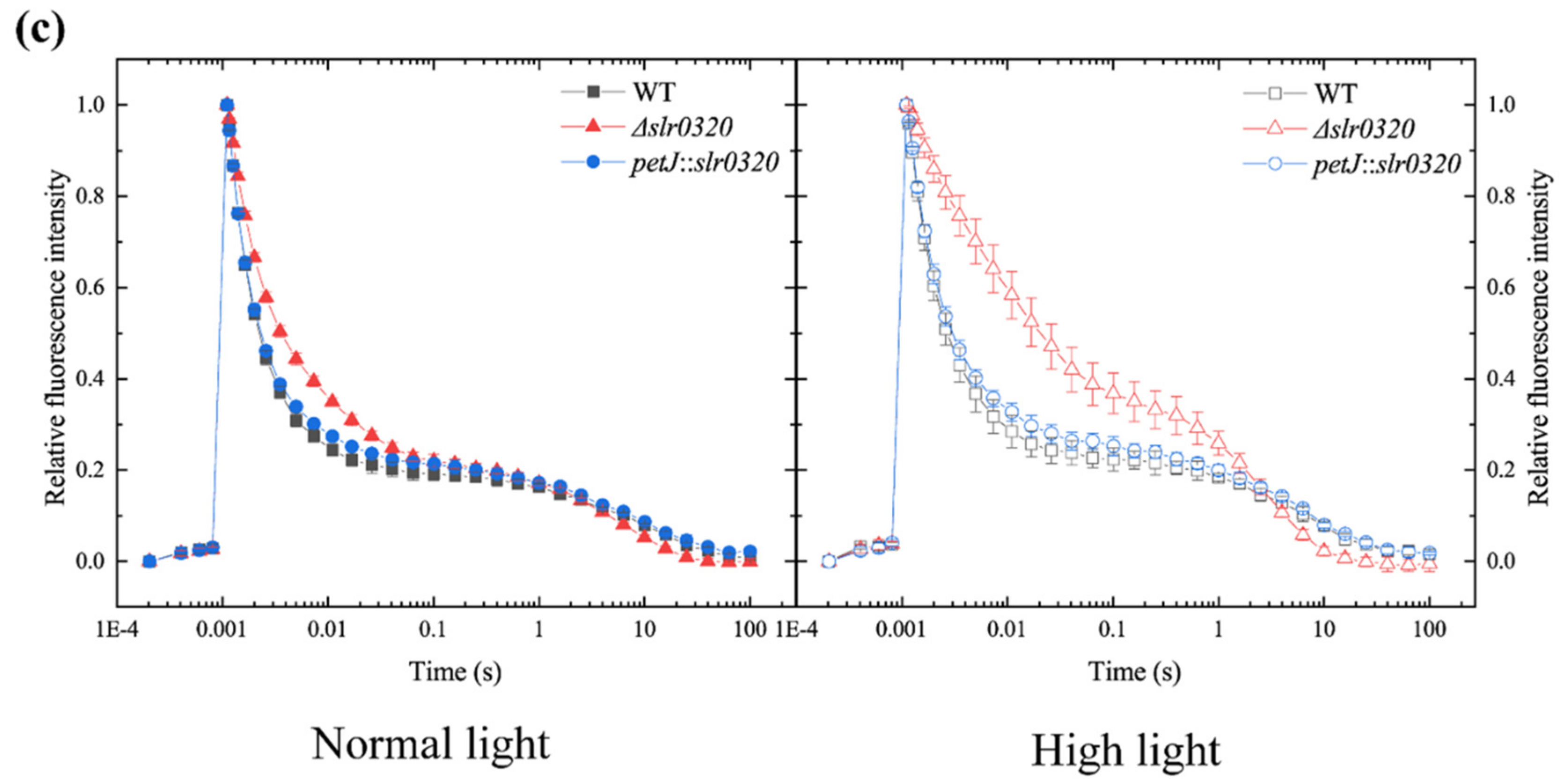 Life 11 00279 g003b Life 11 00279 g003b