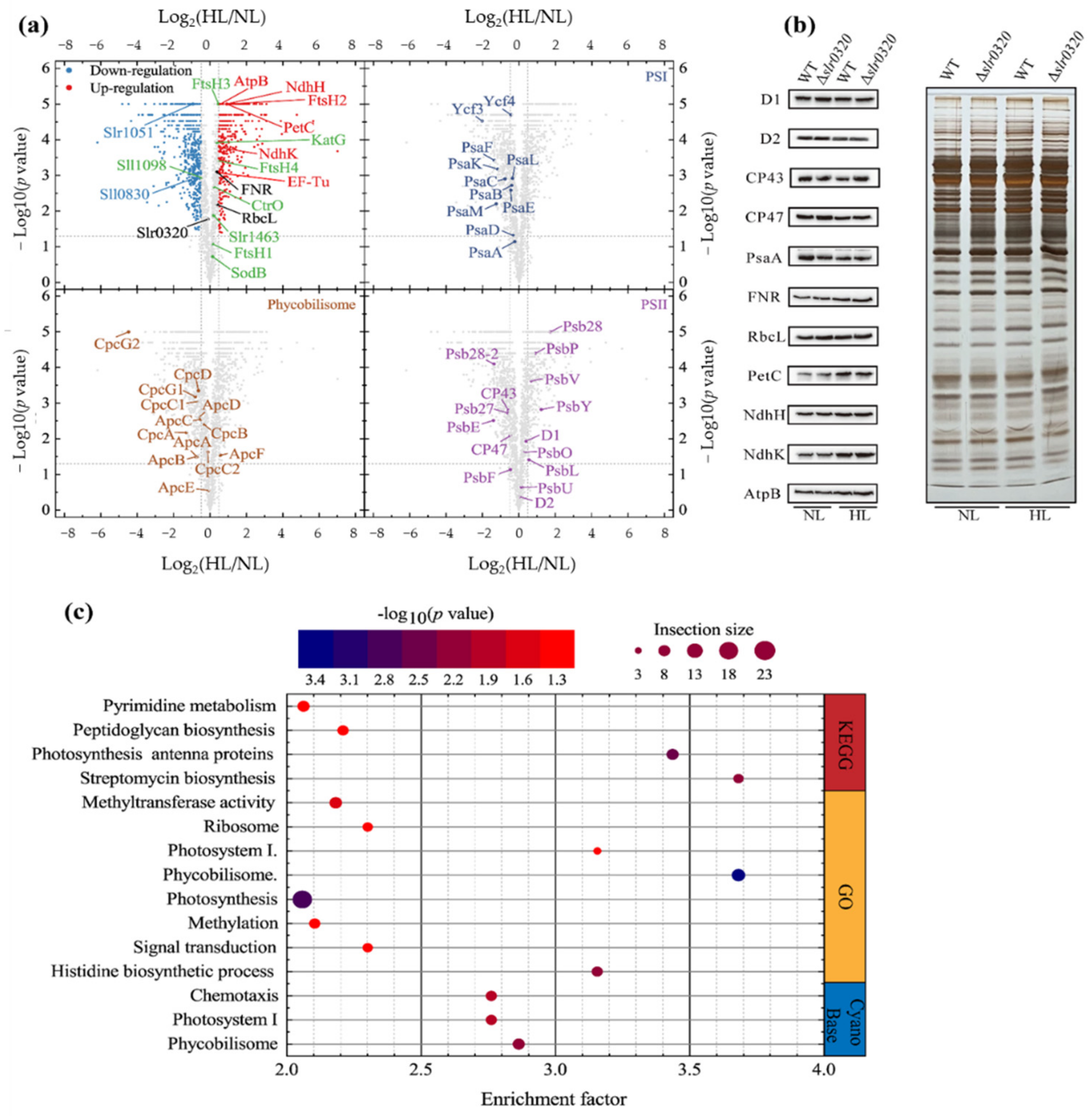 Life 11 00279 g005 Life 11 00279 g005