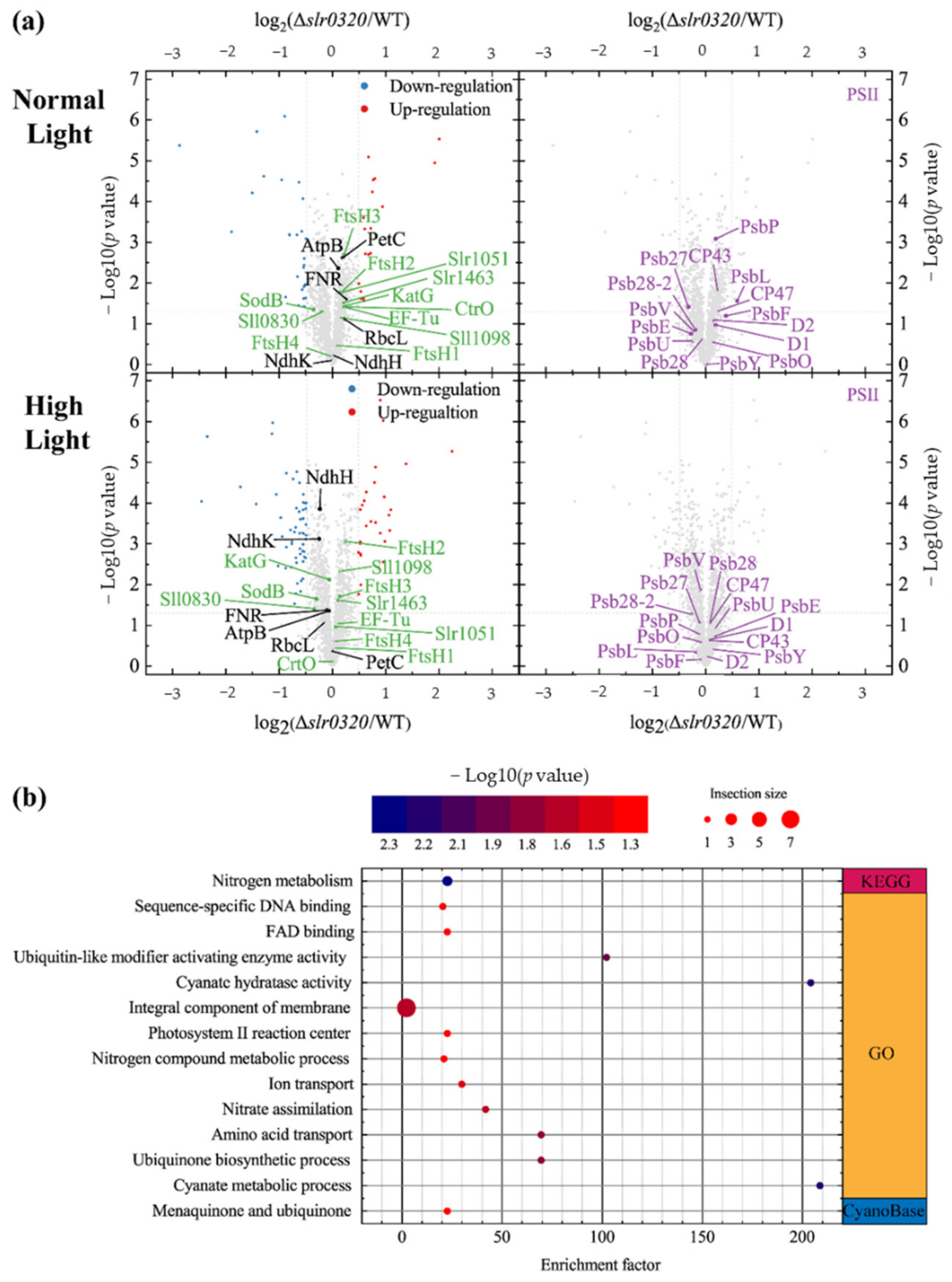 Life 11 00279 g006 Life 11 00279 g006