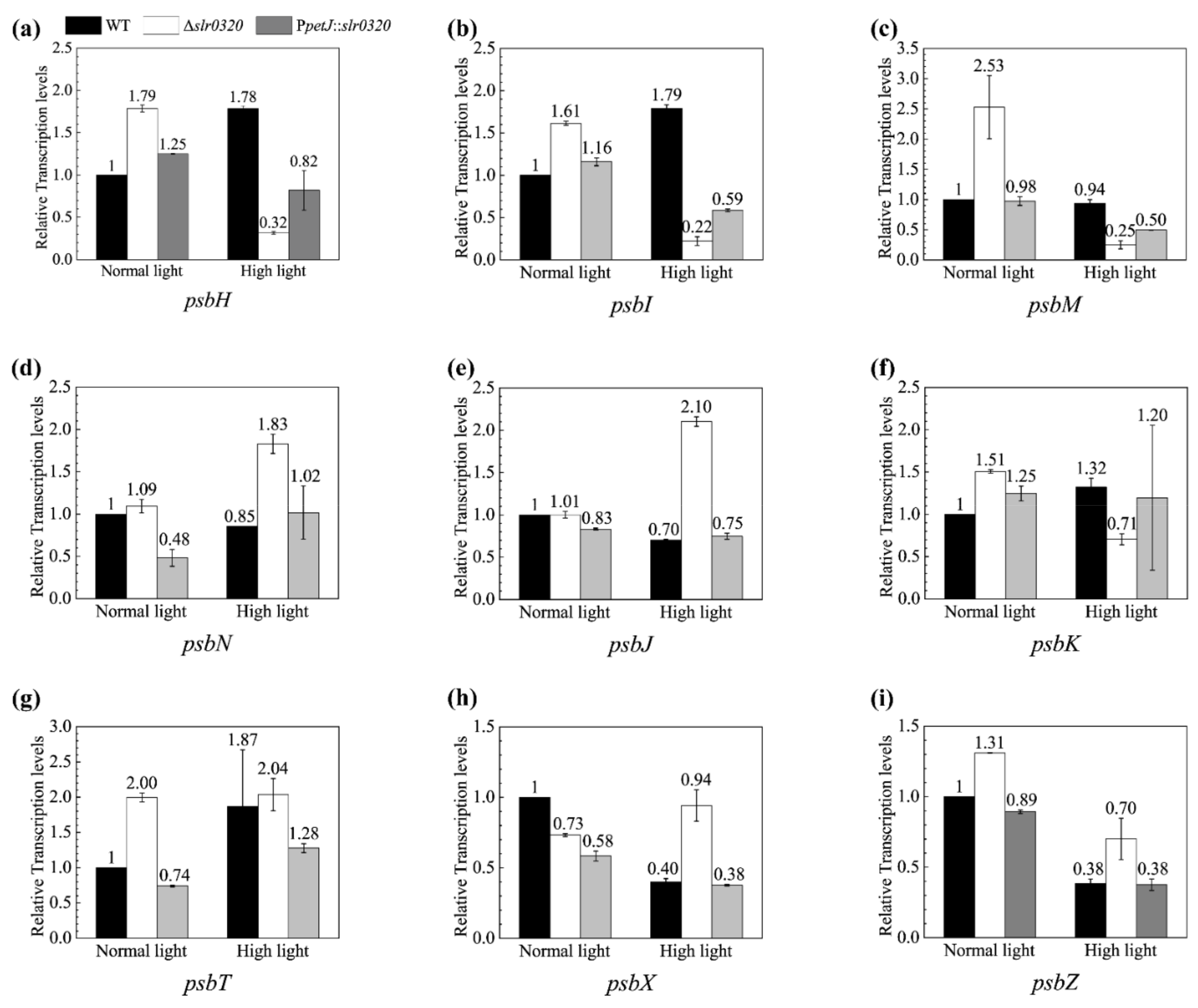 Life 11 00279 g007 Life 11 00279 g007