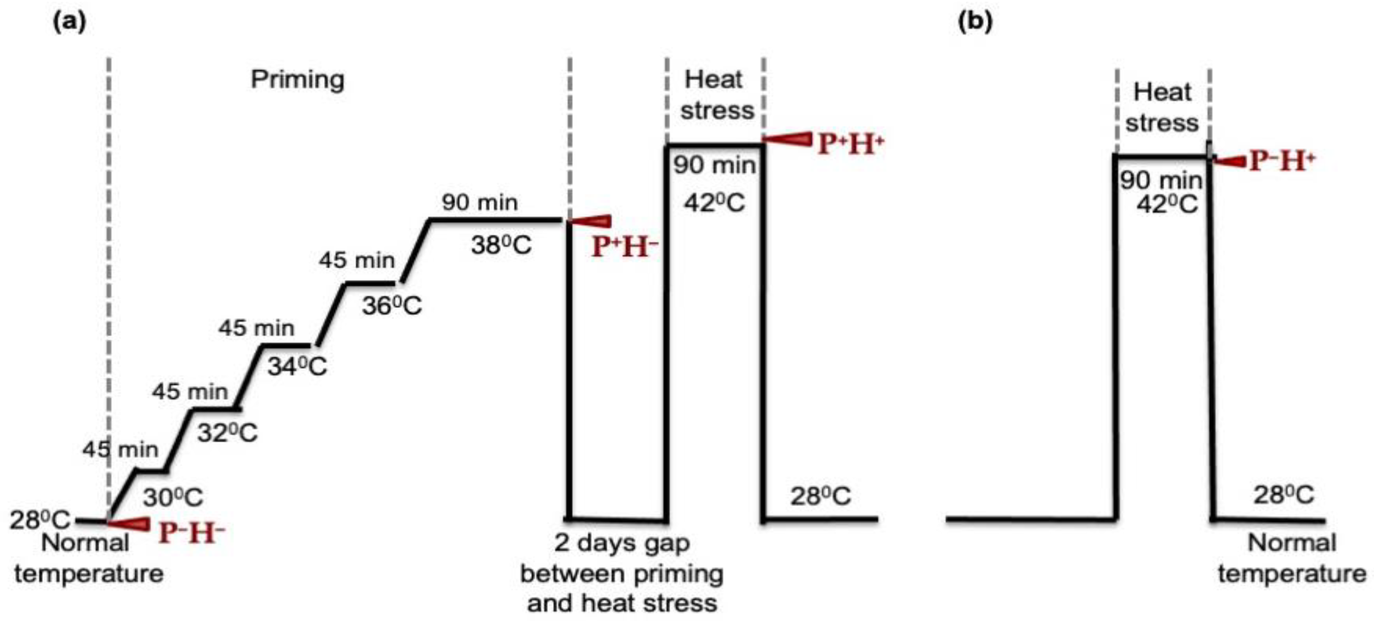 Life 11 00291 g001 Life 11 00291 g001