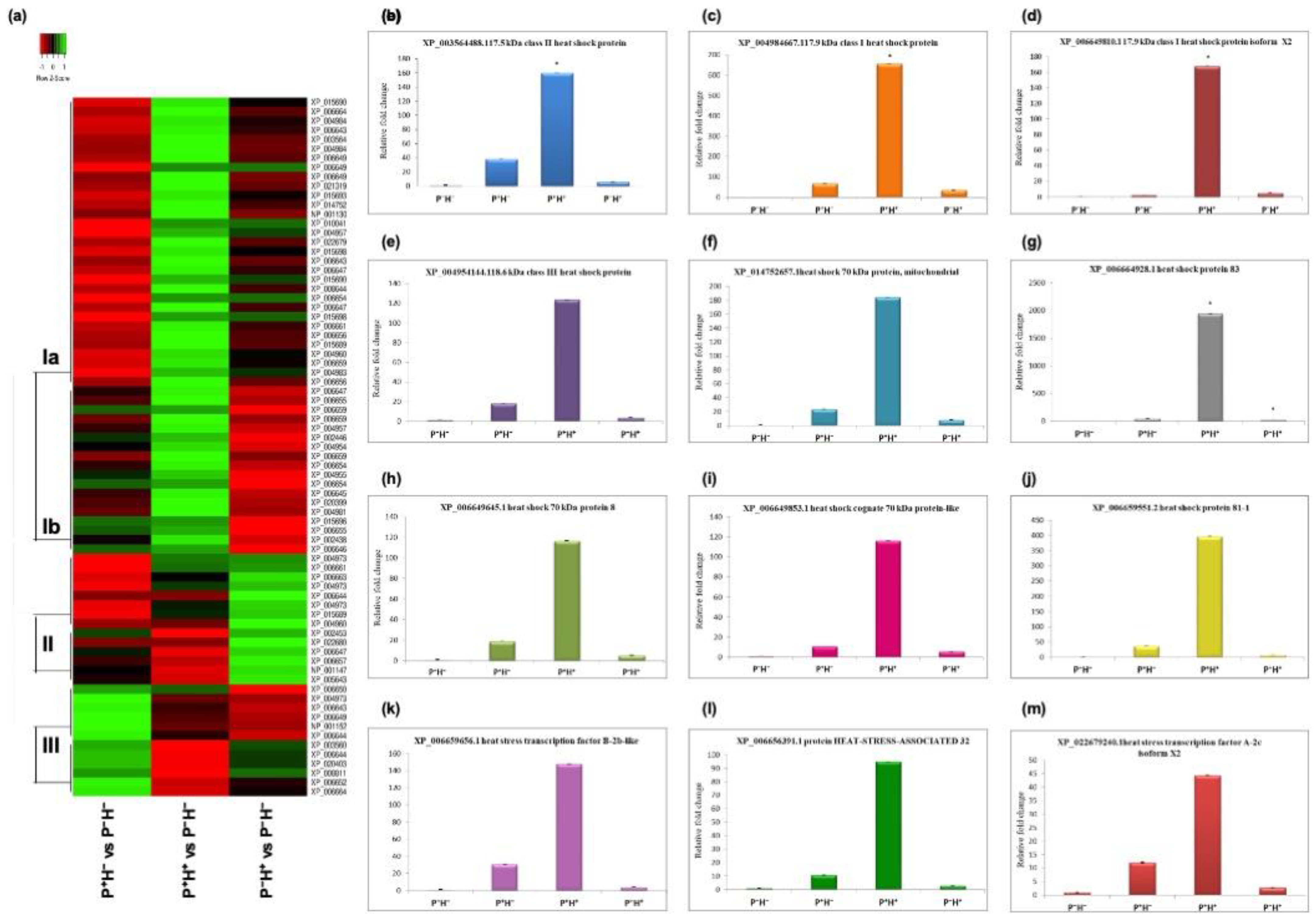 Life 11 00291 g004 Life 11 00291 g004