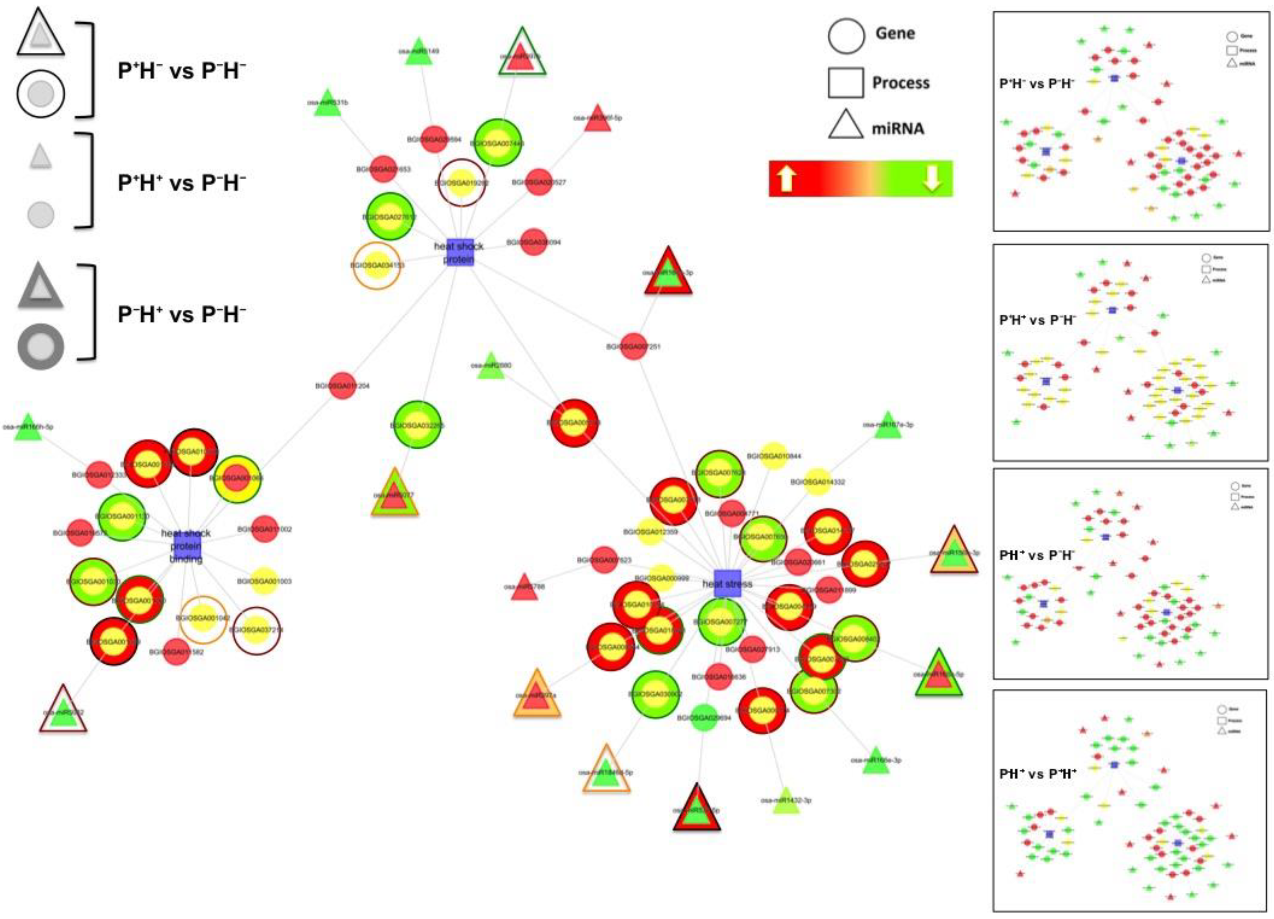 Life 11 00291 g006 Life 11 00291 g006