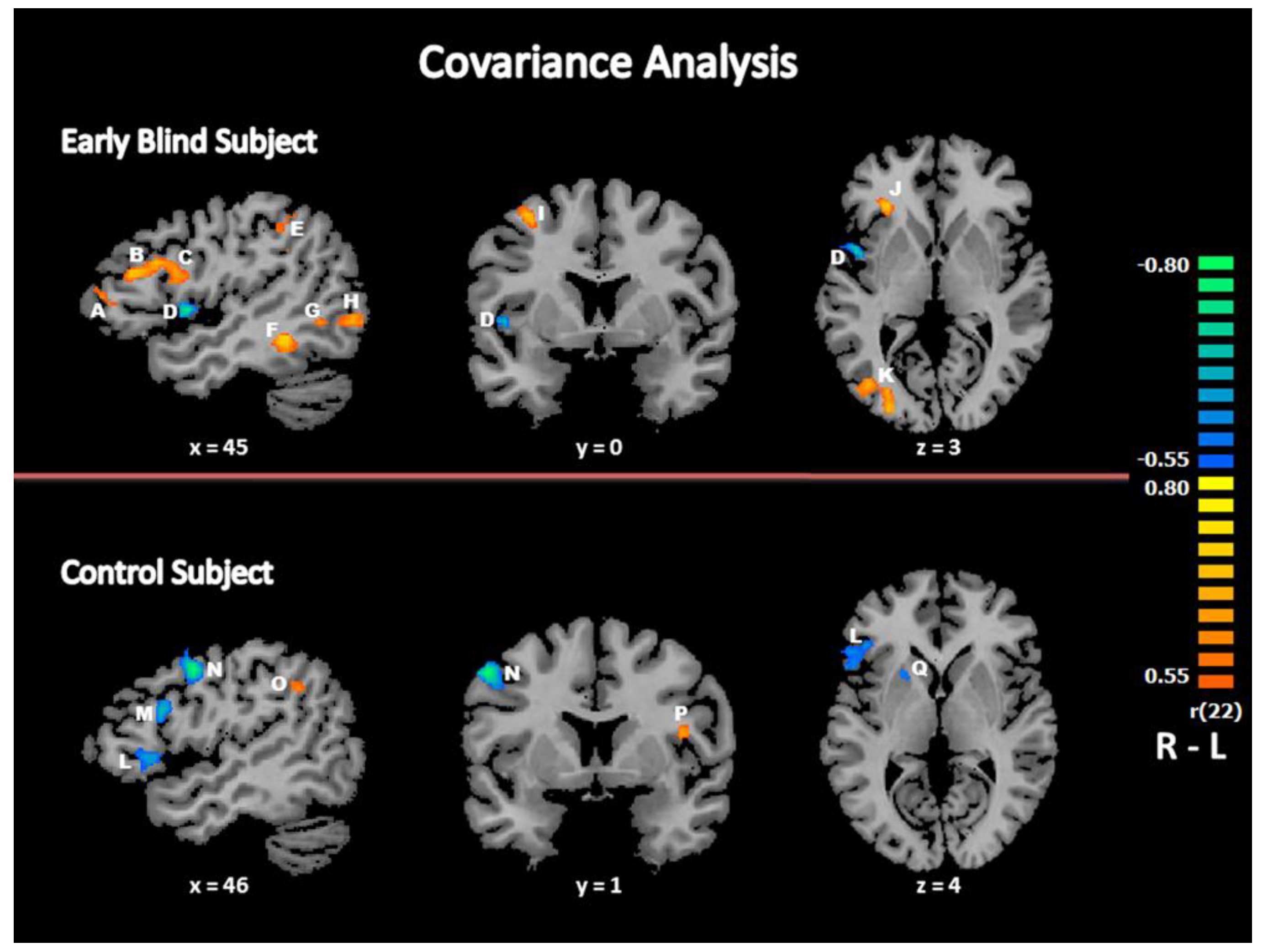 Life 11 00296 g004 Life 11 00296 g004
