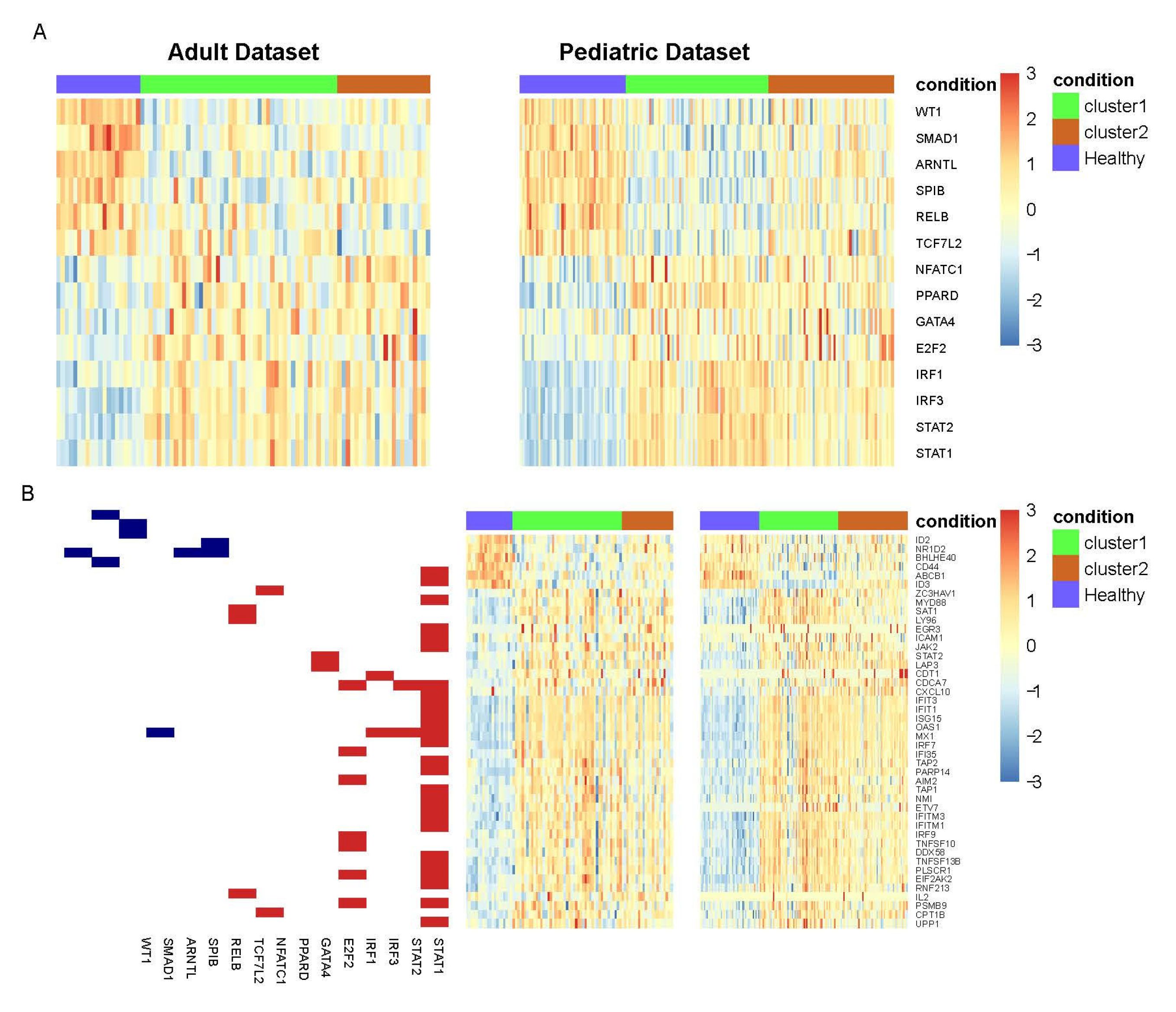 Life 11 00299 g003 Life 11 00299 g003