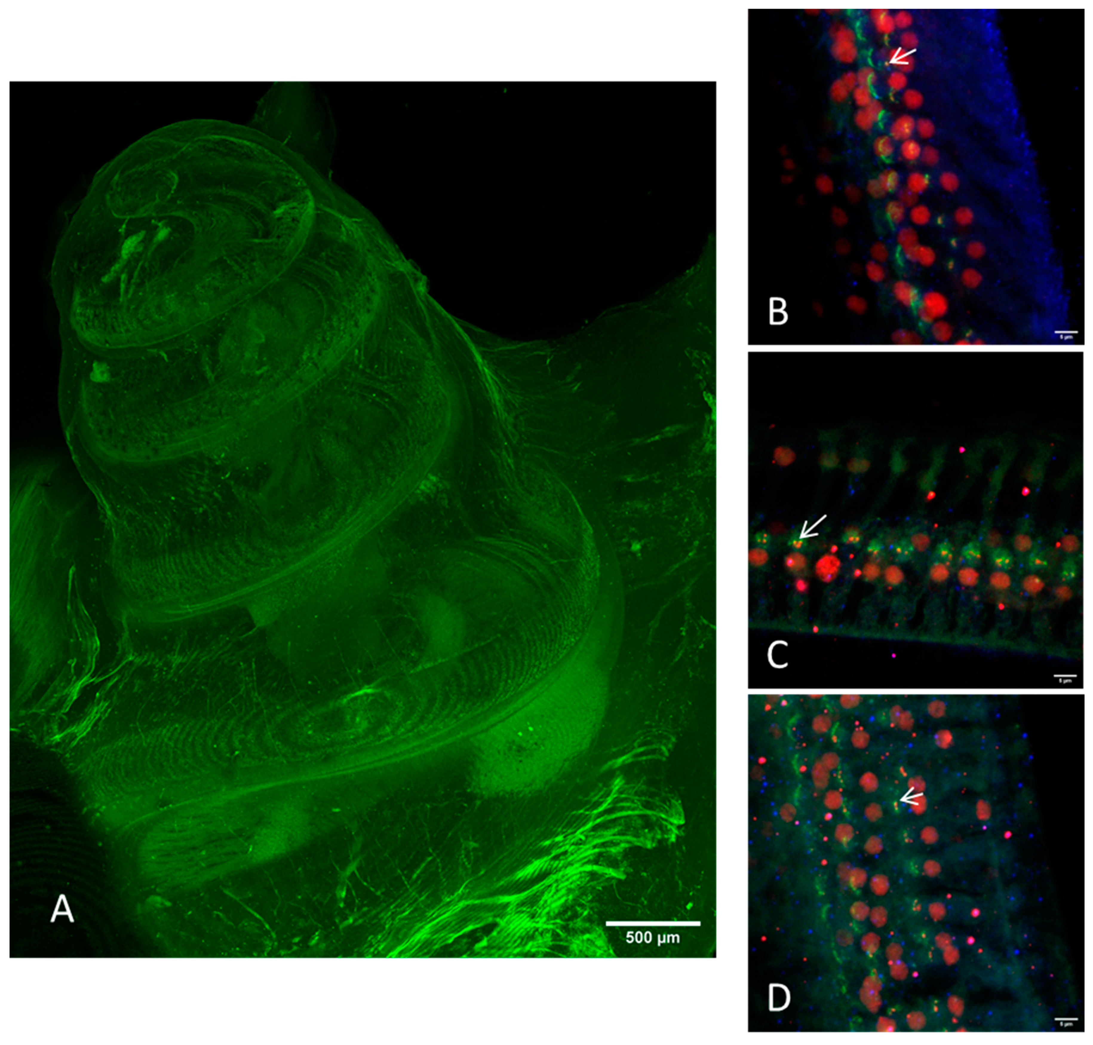 Life 11 00301 g002 Life 11 00301 g002