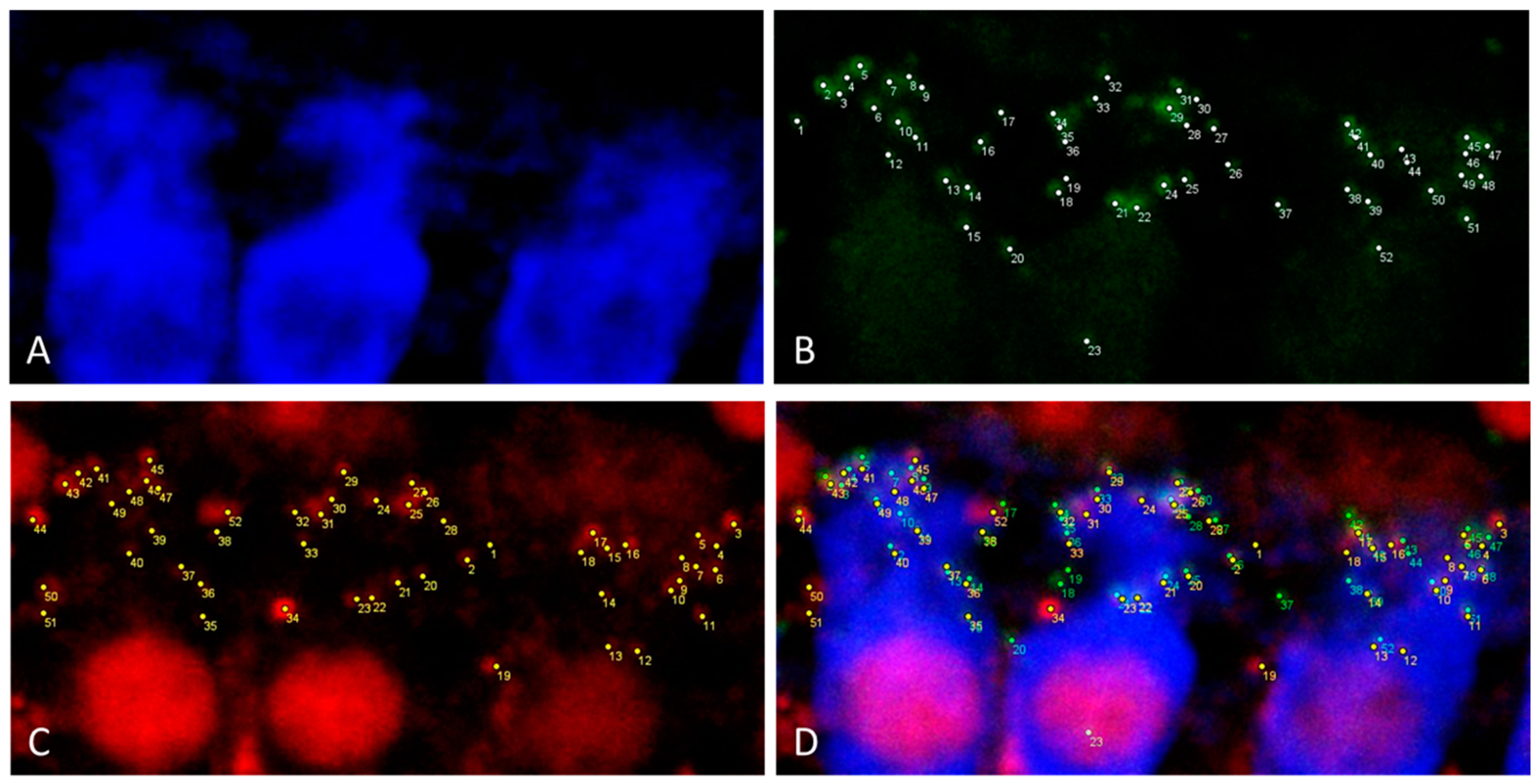 Life 11 00301 g006 Life 11 00301 g006