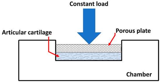 Life 11 00302 g004 550