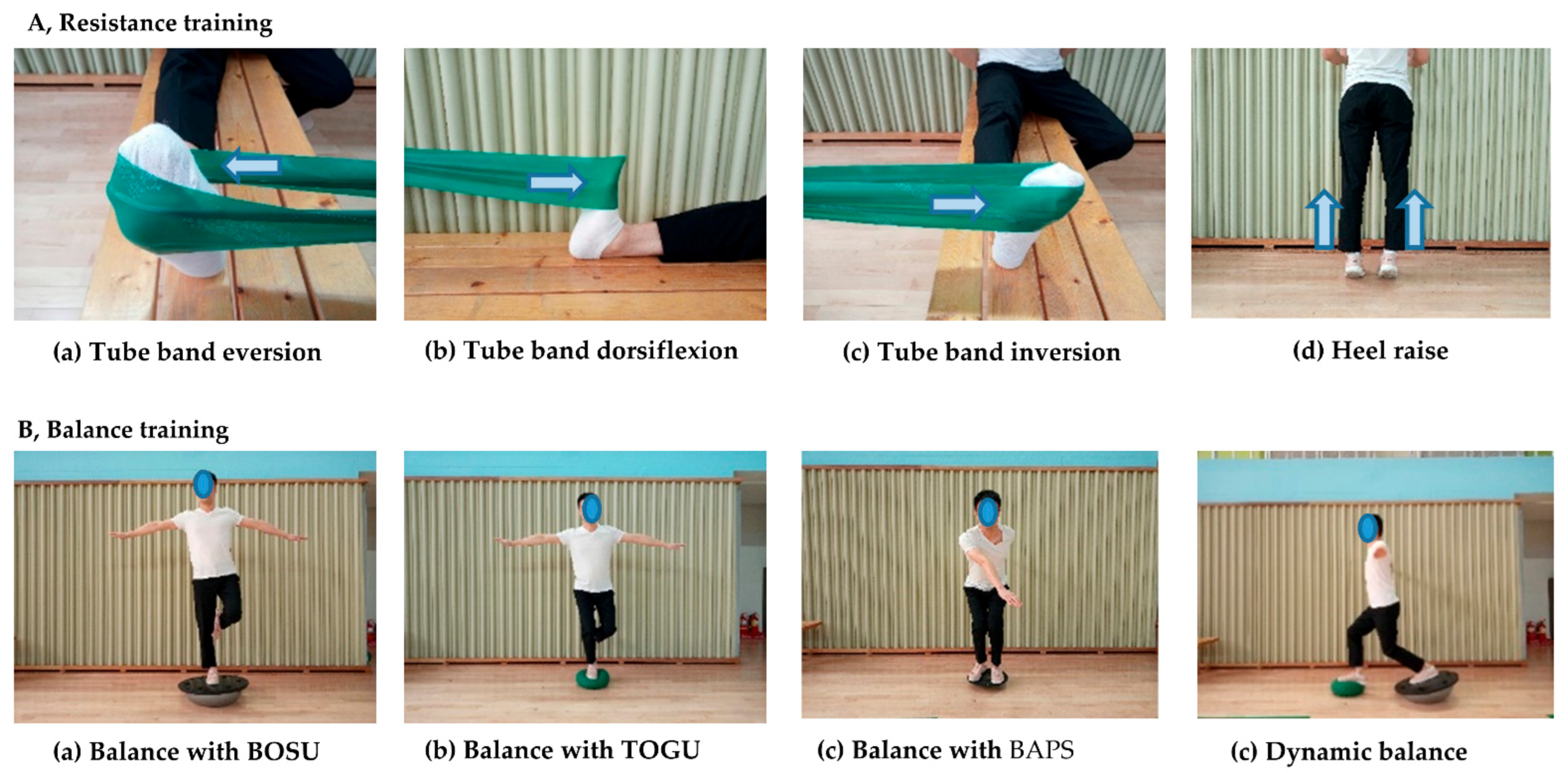 Life Free Full-text Comparison Of The Effect Of Resistance And Balance Training On Isokinetic Eversion Strength Dynamic Balance Hop Test And Ankle Score In Ankle Sprain Html